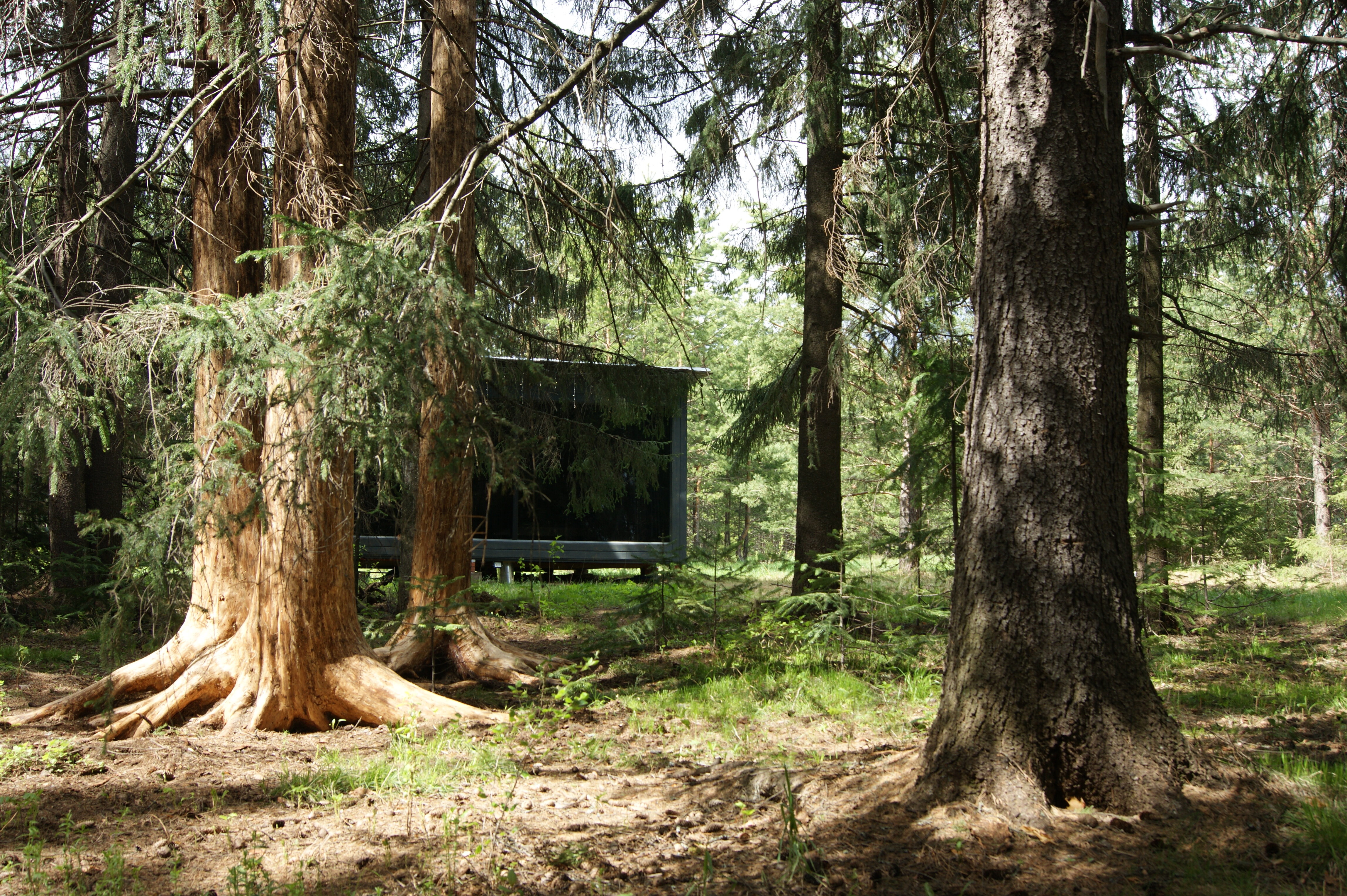 Фото DarkSideCamp