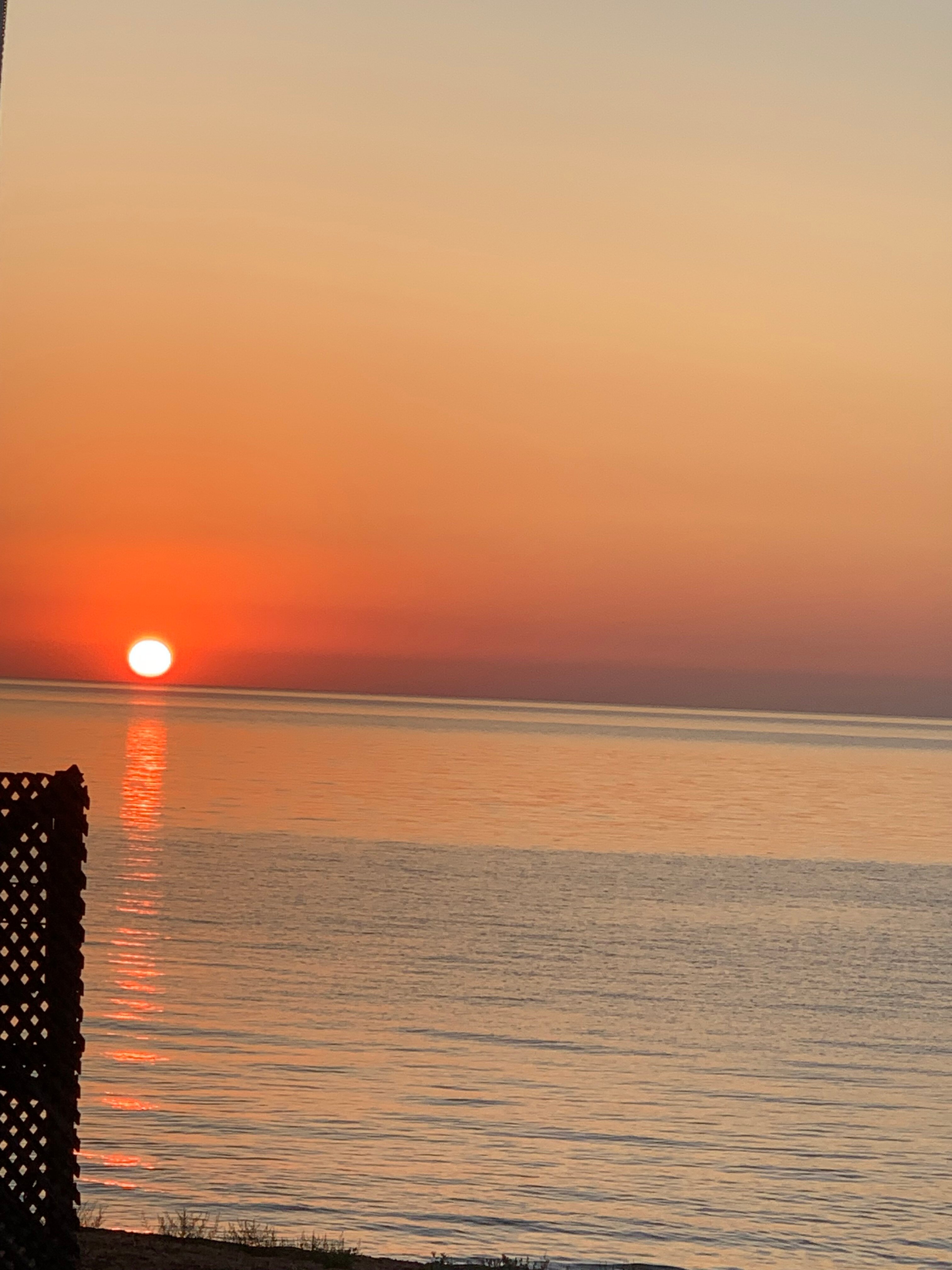 Фото Вилла Оазис