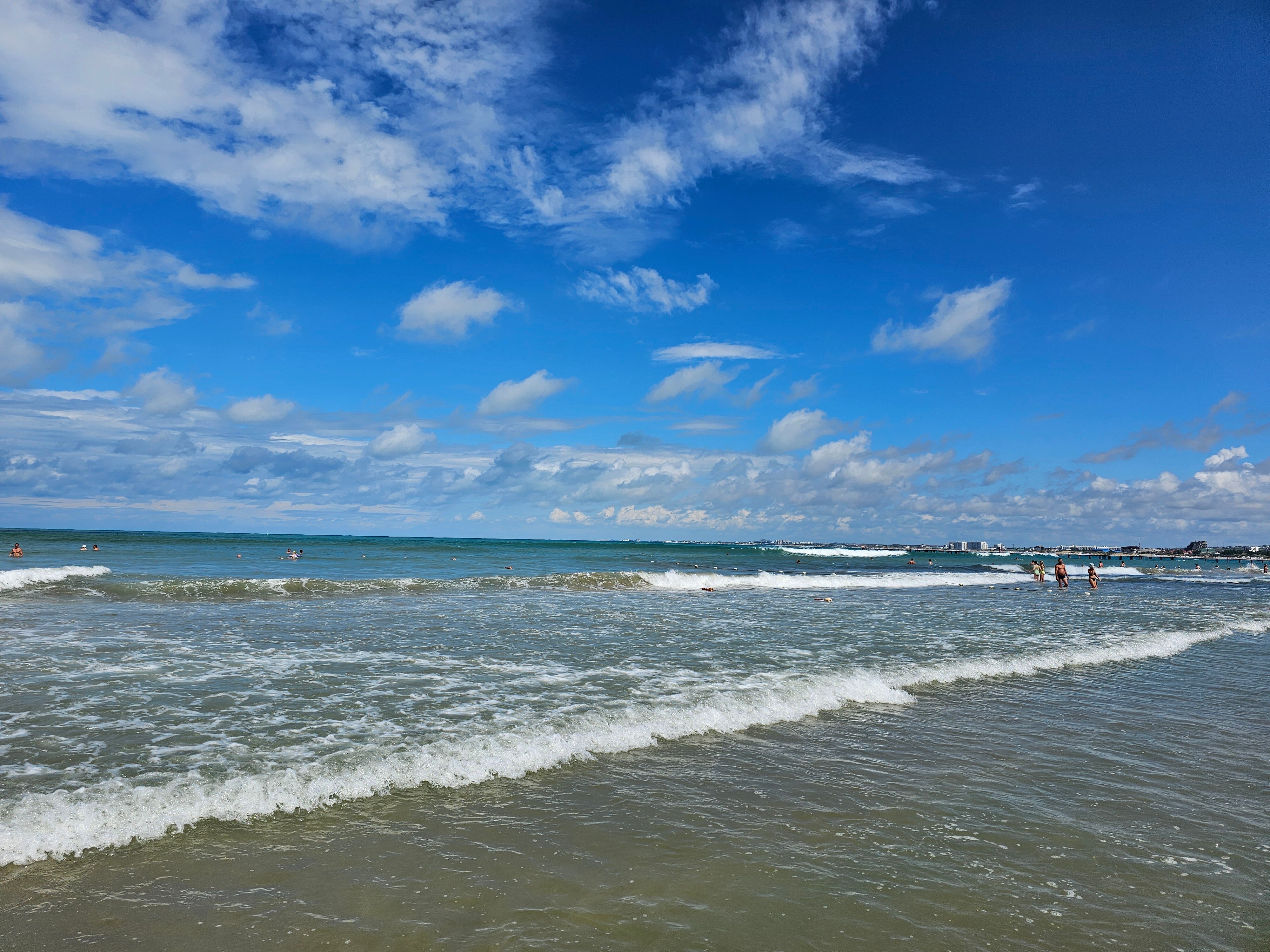 Фото Альбатрос