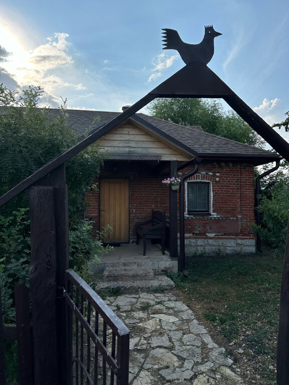 Фото Мальвы