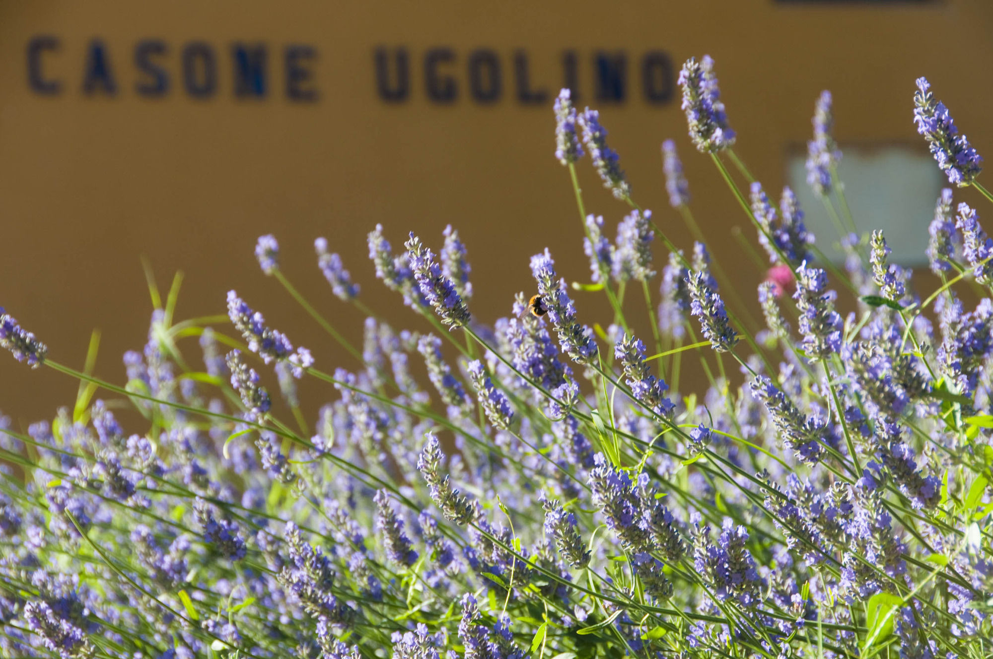 Фото Casone Ugolino