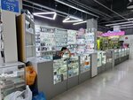 A. Z Shop (Zhibek Zholy Avenue, 85), productos para teléfonos móviles