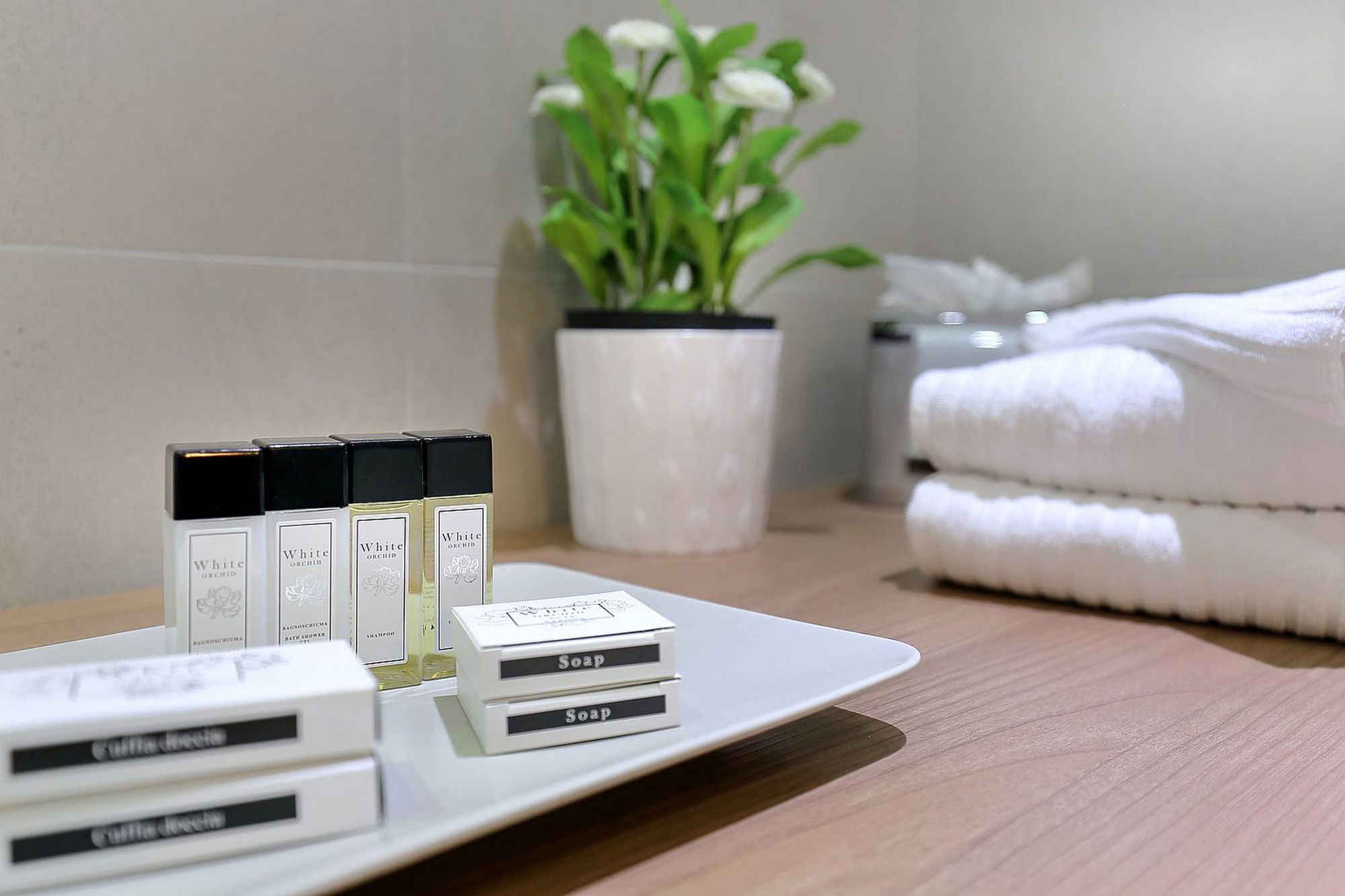 Фото Antico Centro Suites