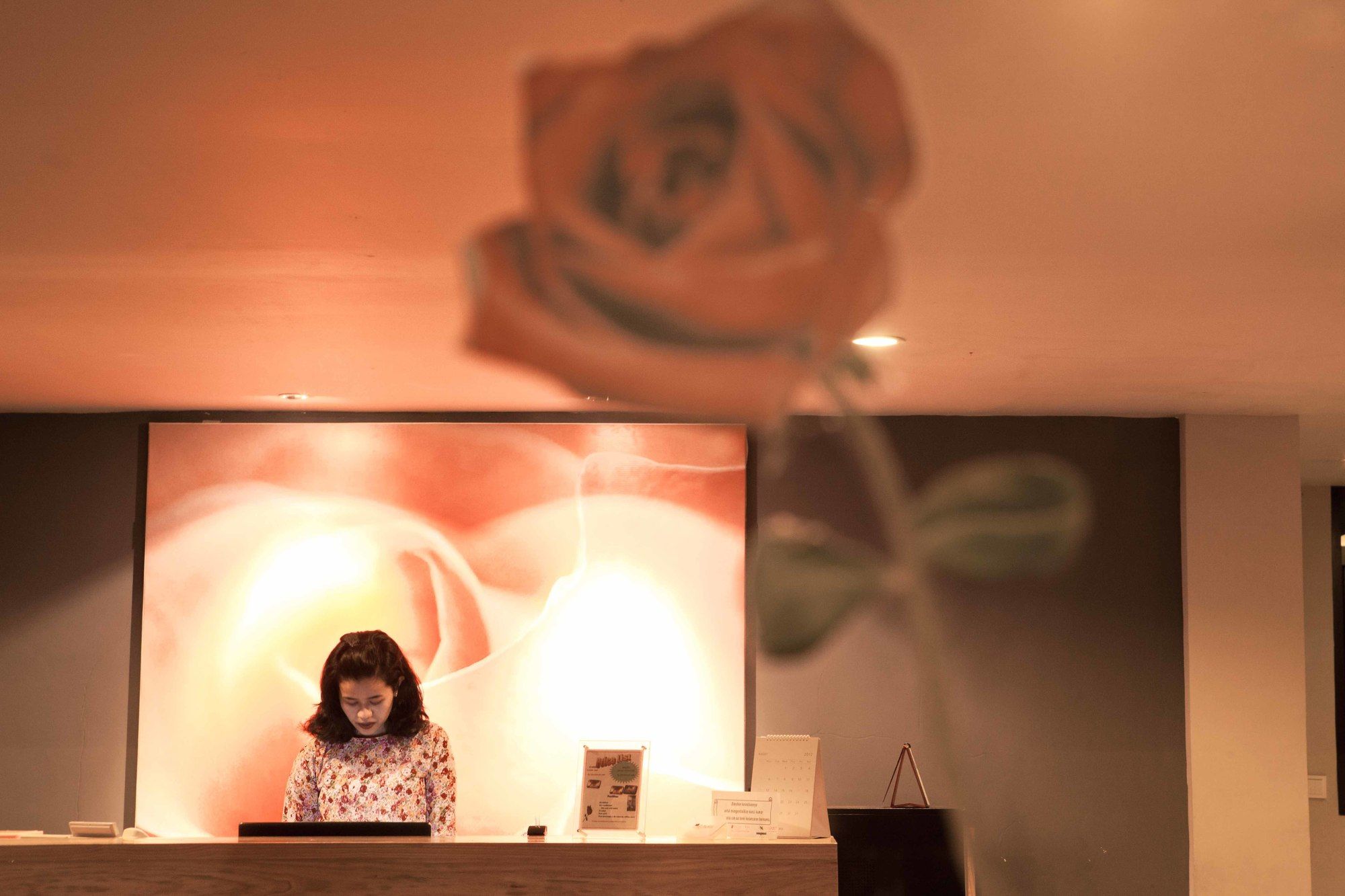 Фото Hotel Mawar