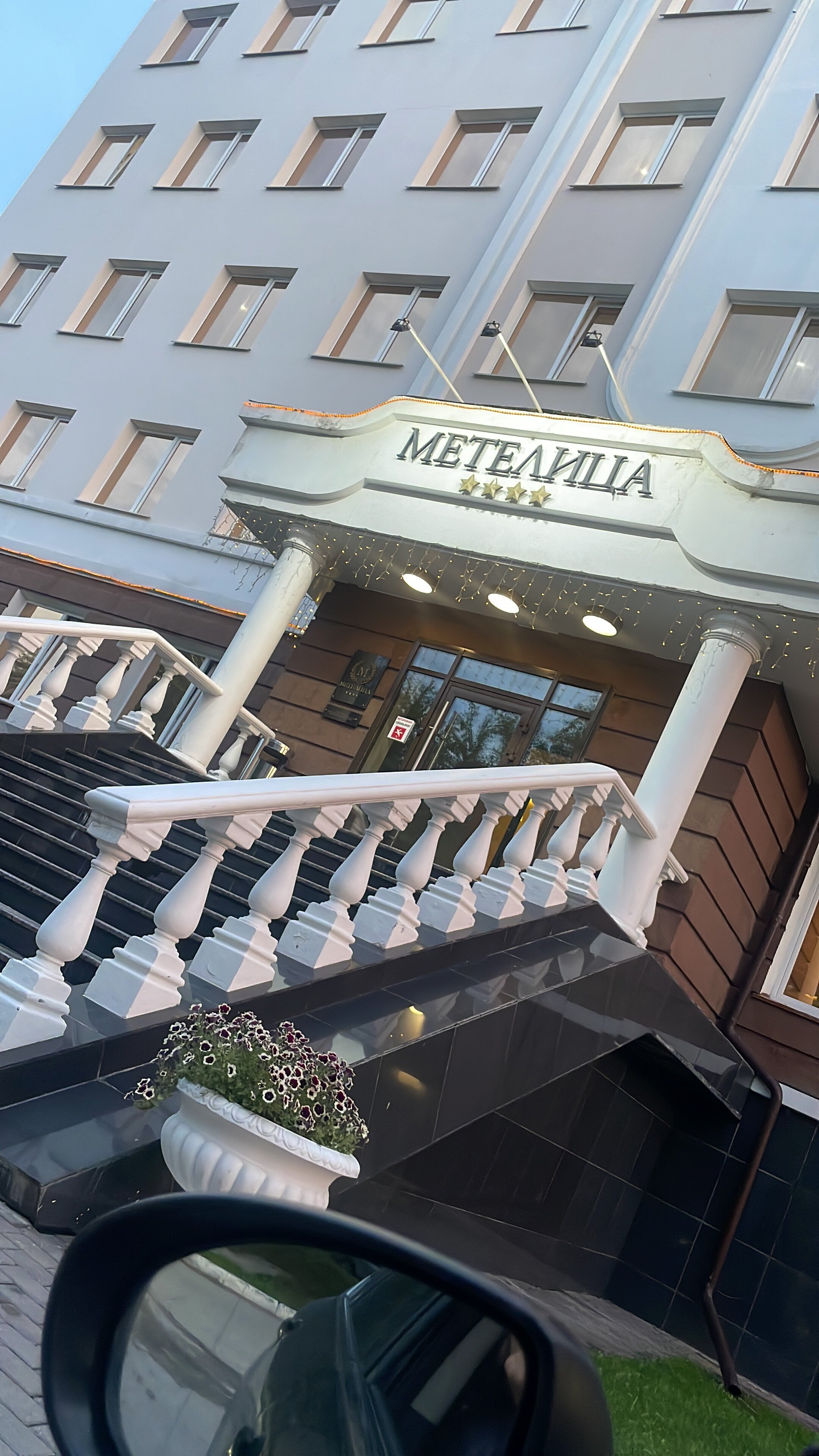 Фото Метелица