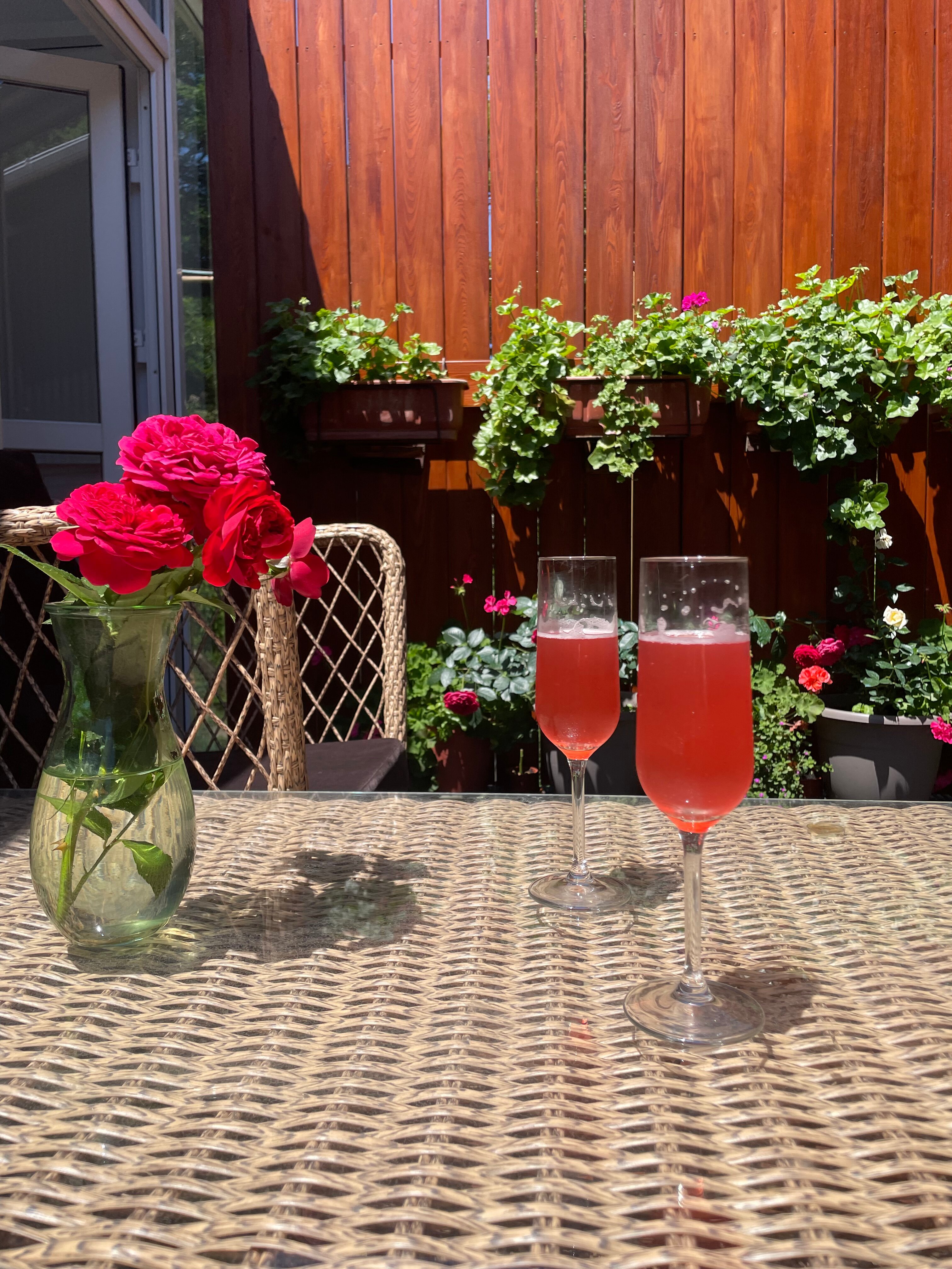 Фото Розмарин