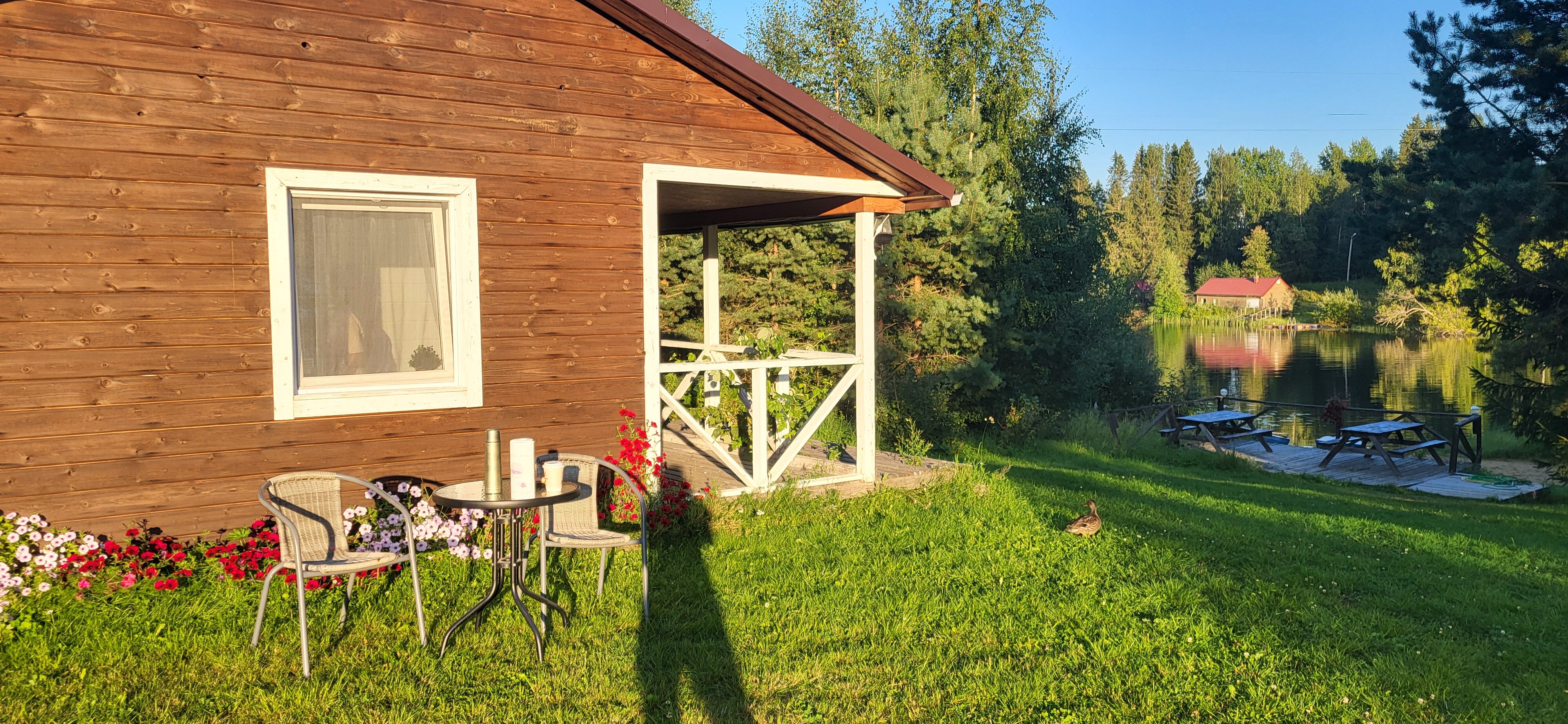 Фото Фортуна