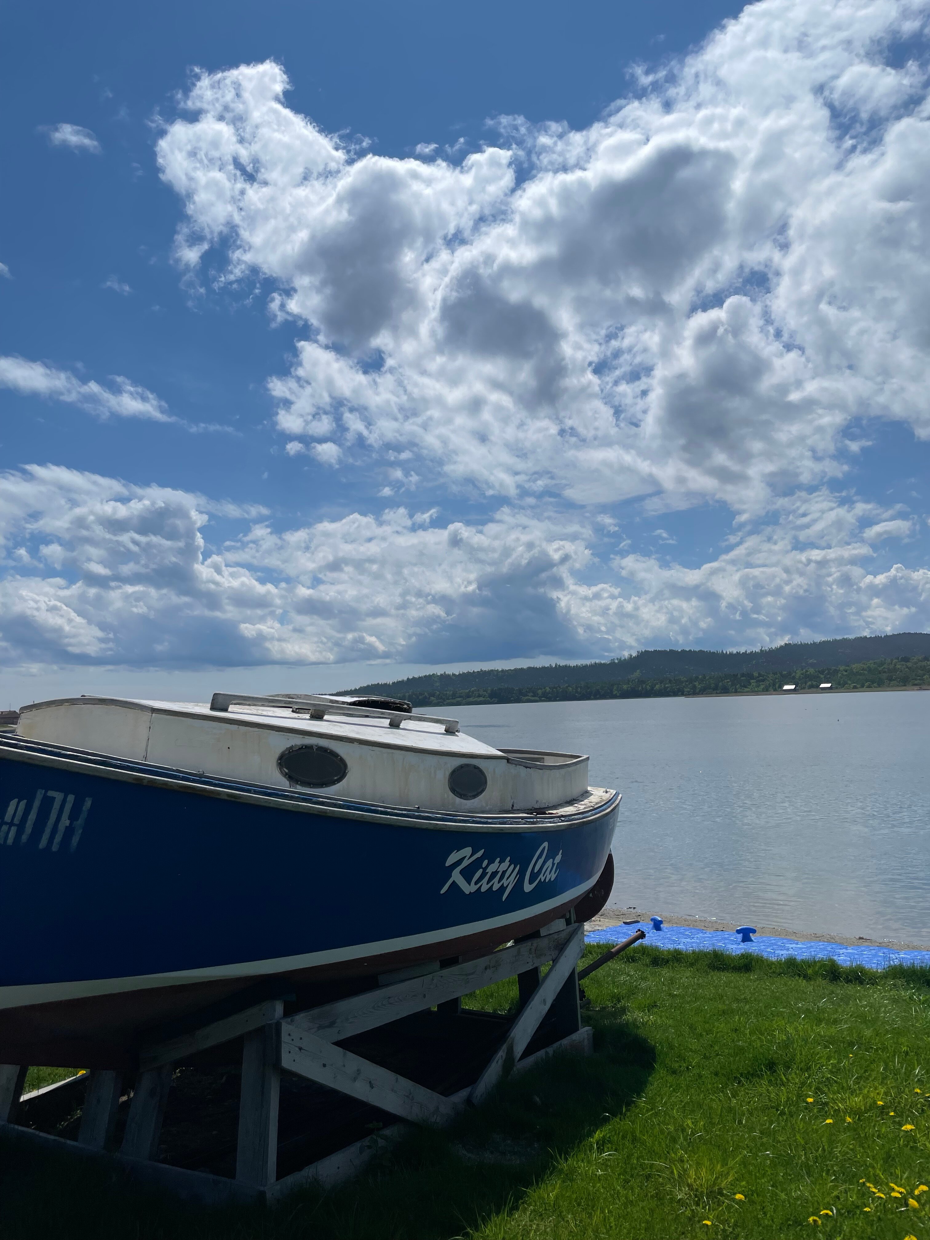 Фото Дача в Охотске