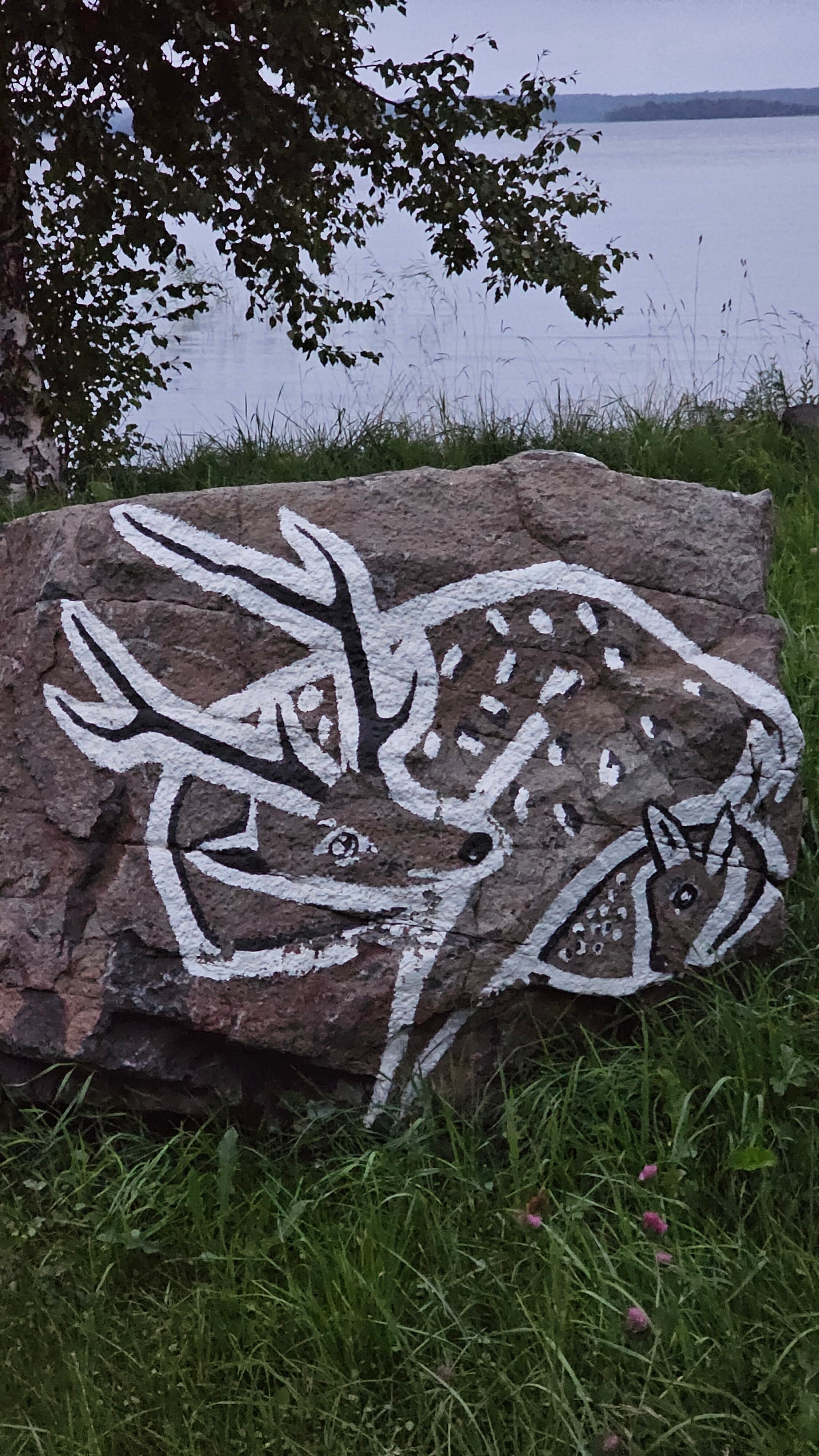 Фото Видноозеро