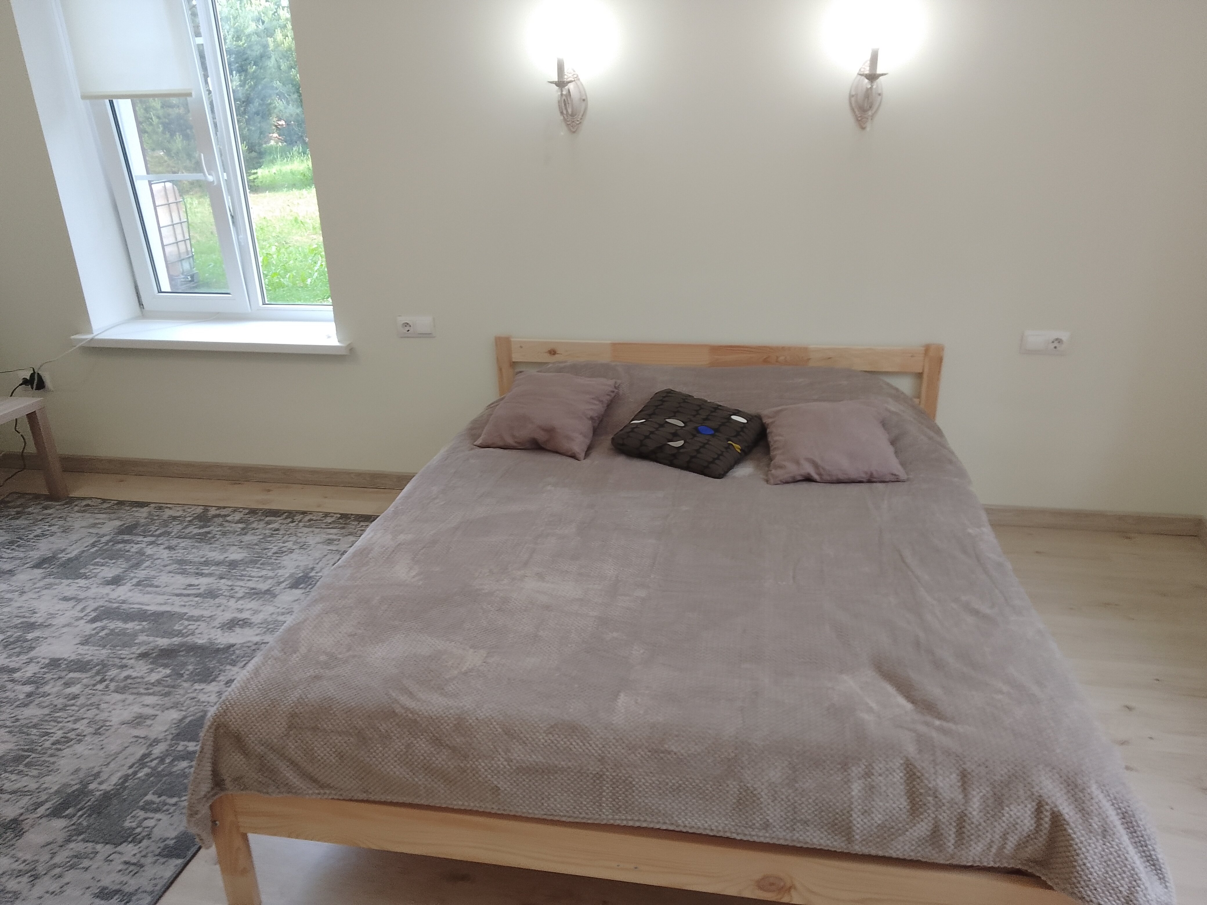 Фото Хитрый Лис