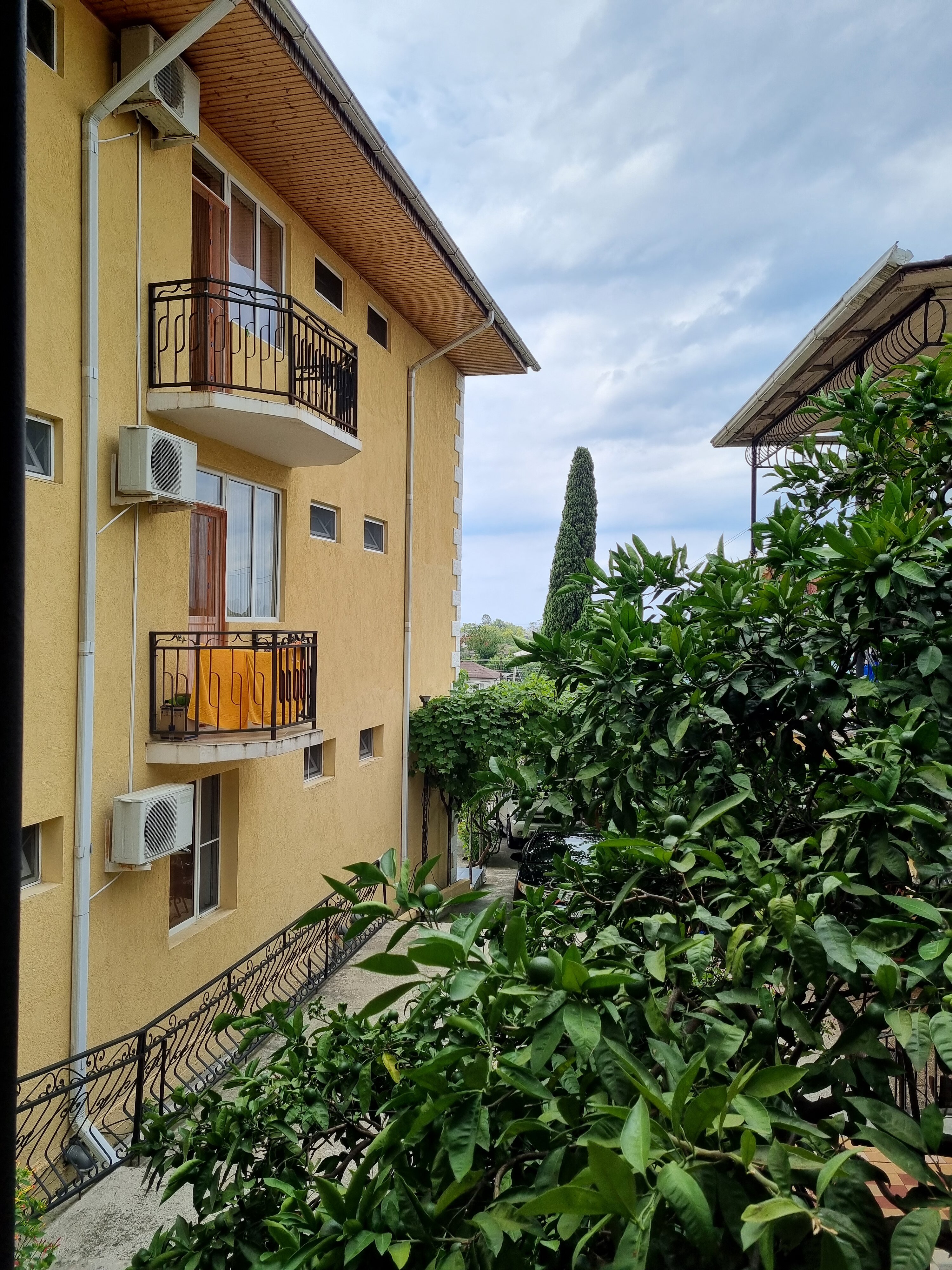 Фото Мандариновый Сад