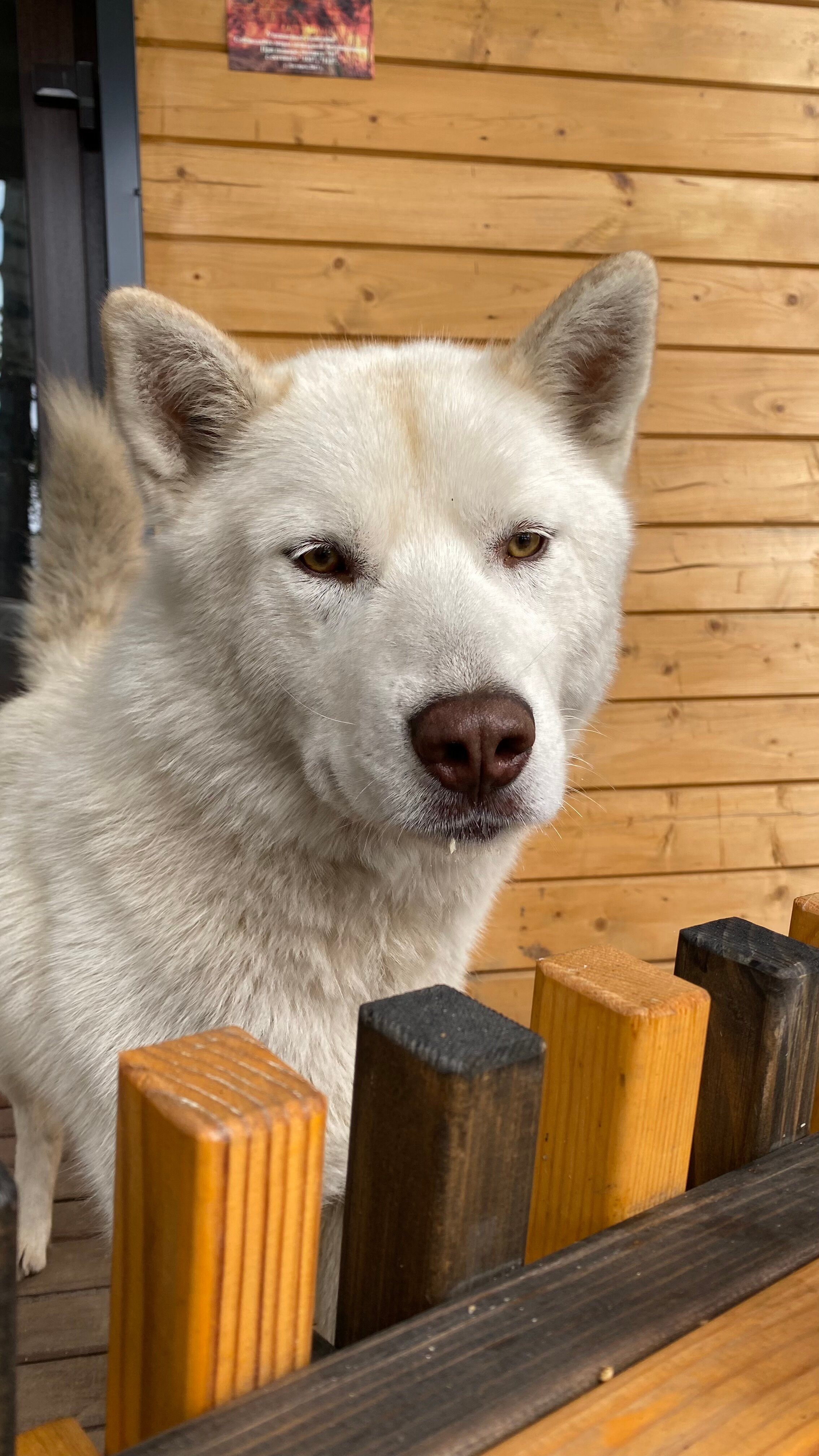 Фото Межгорье