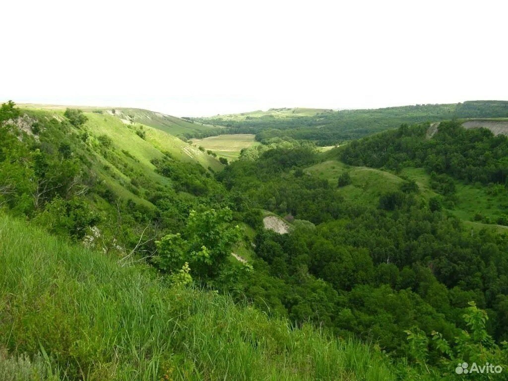 Фото Панорама 64