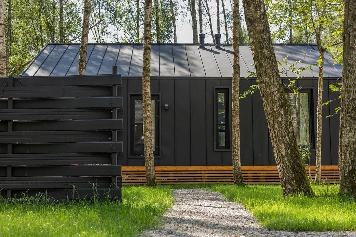 Фото У Березы