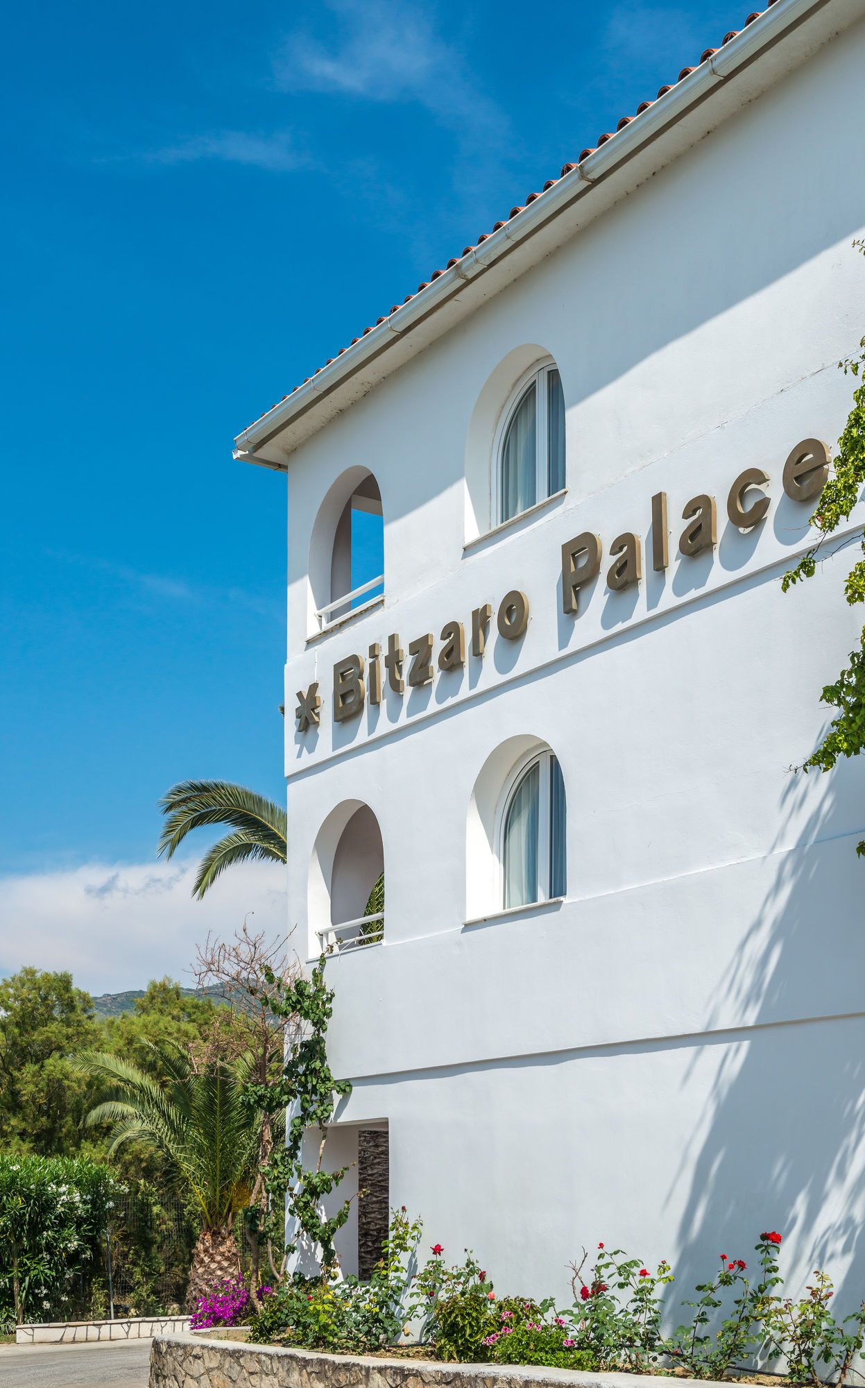 Фото Bitzaro Palace Hotel - All inclusive