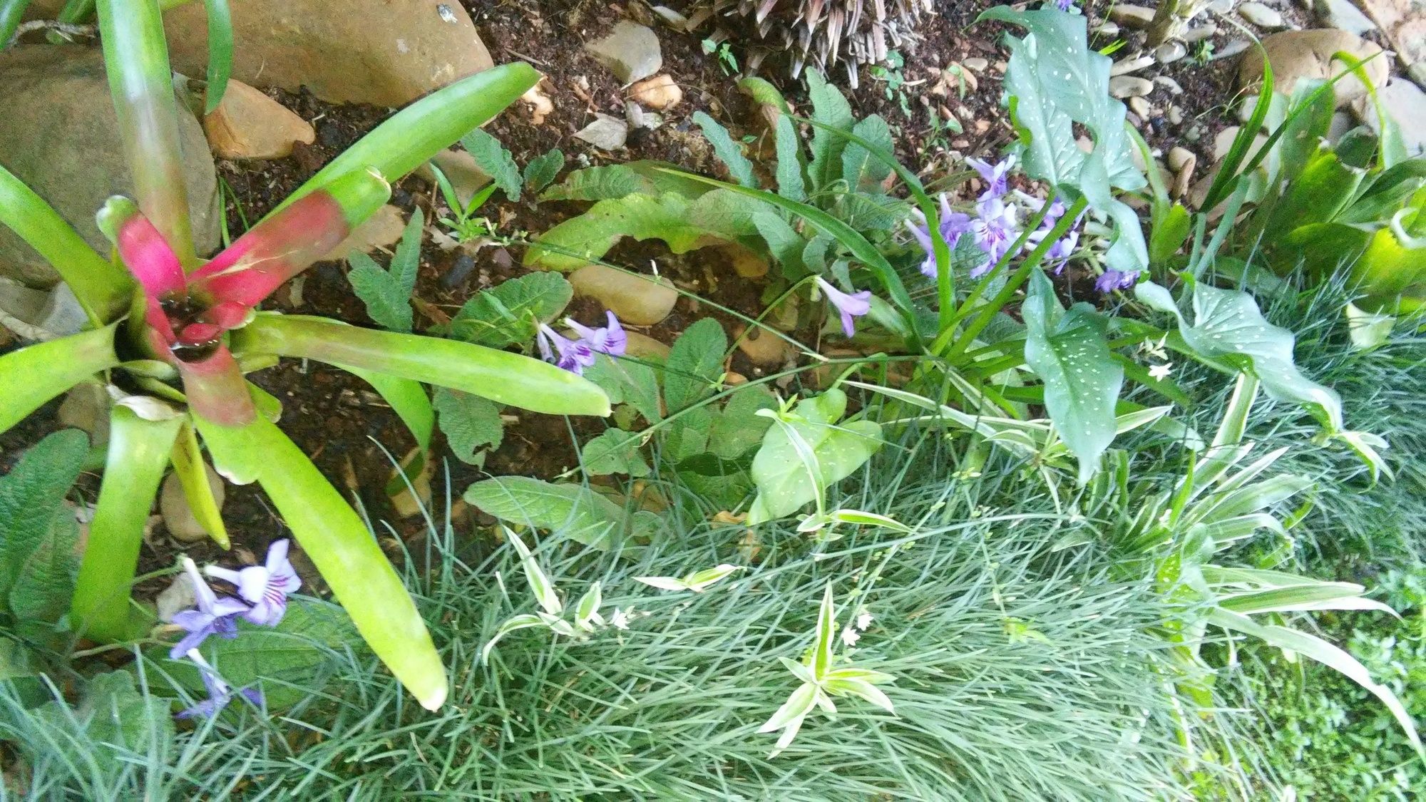 Фото Dublin Guest Lodge