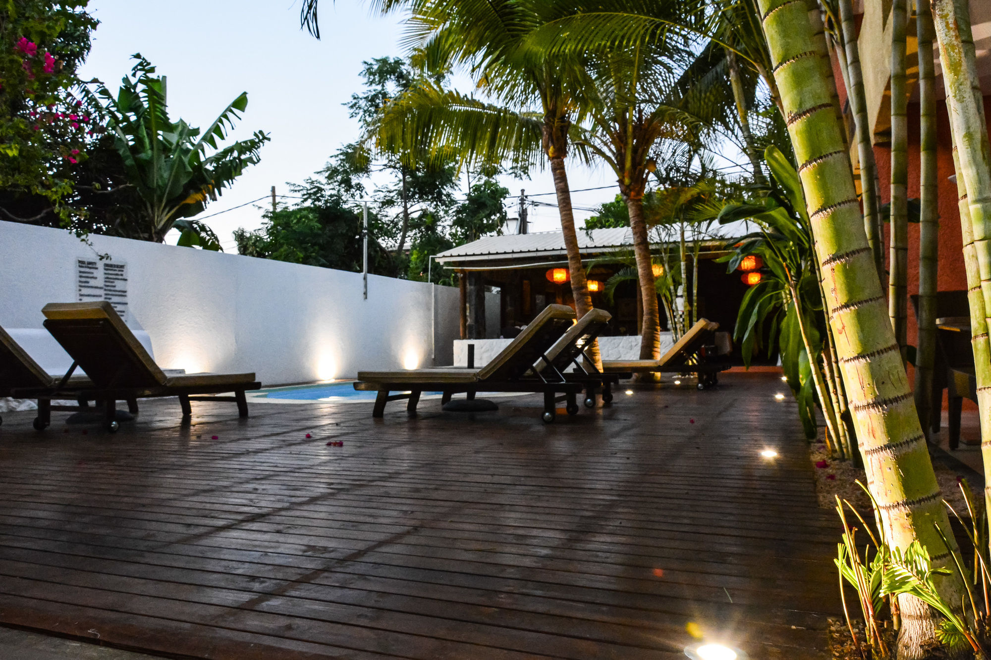 Фото La Margarita