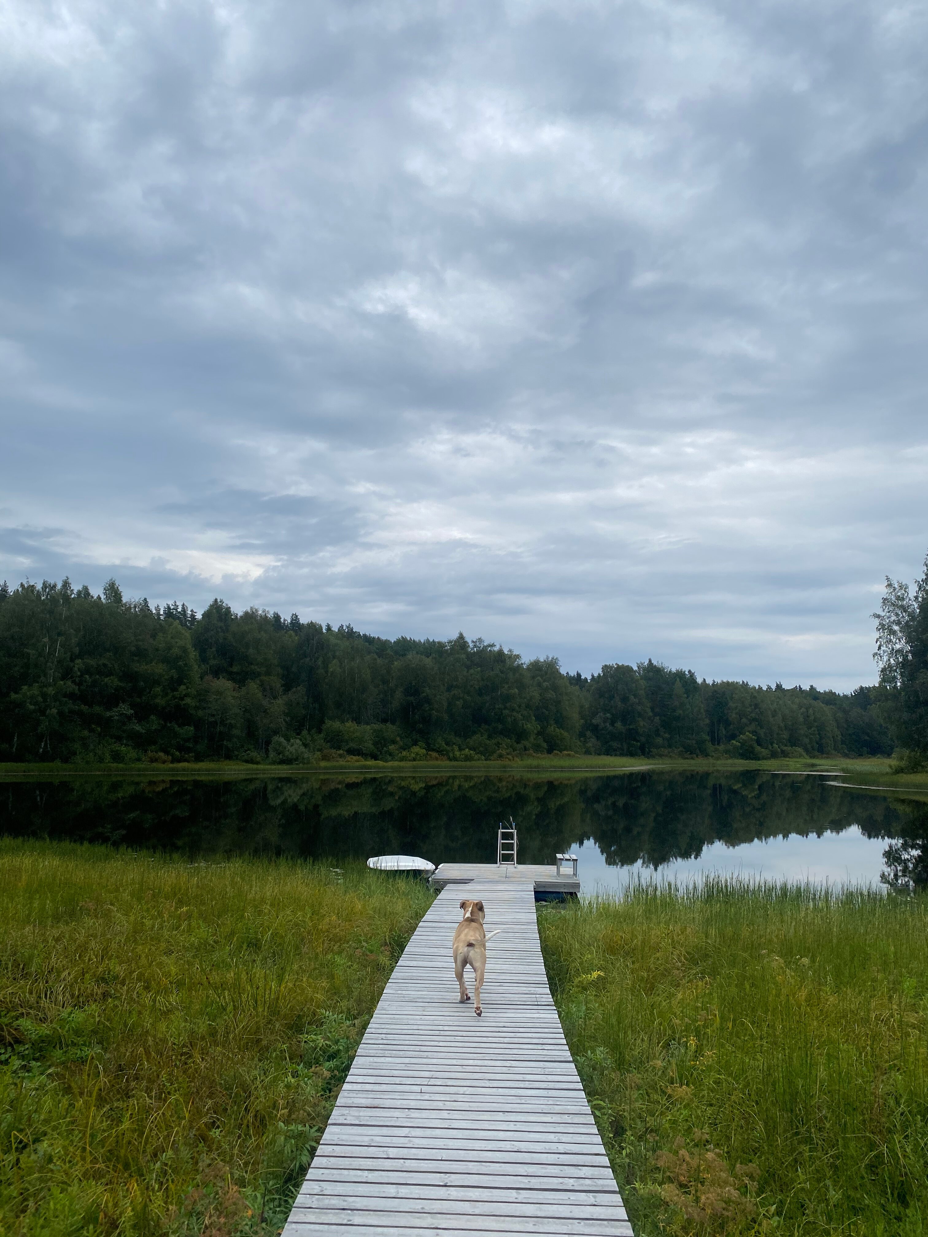 Фото Дом в лесу Холмово