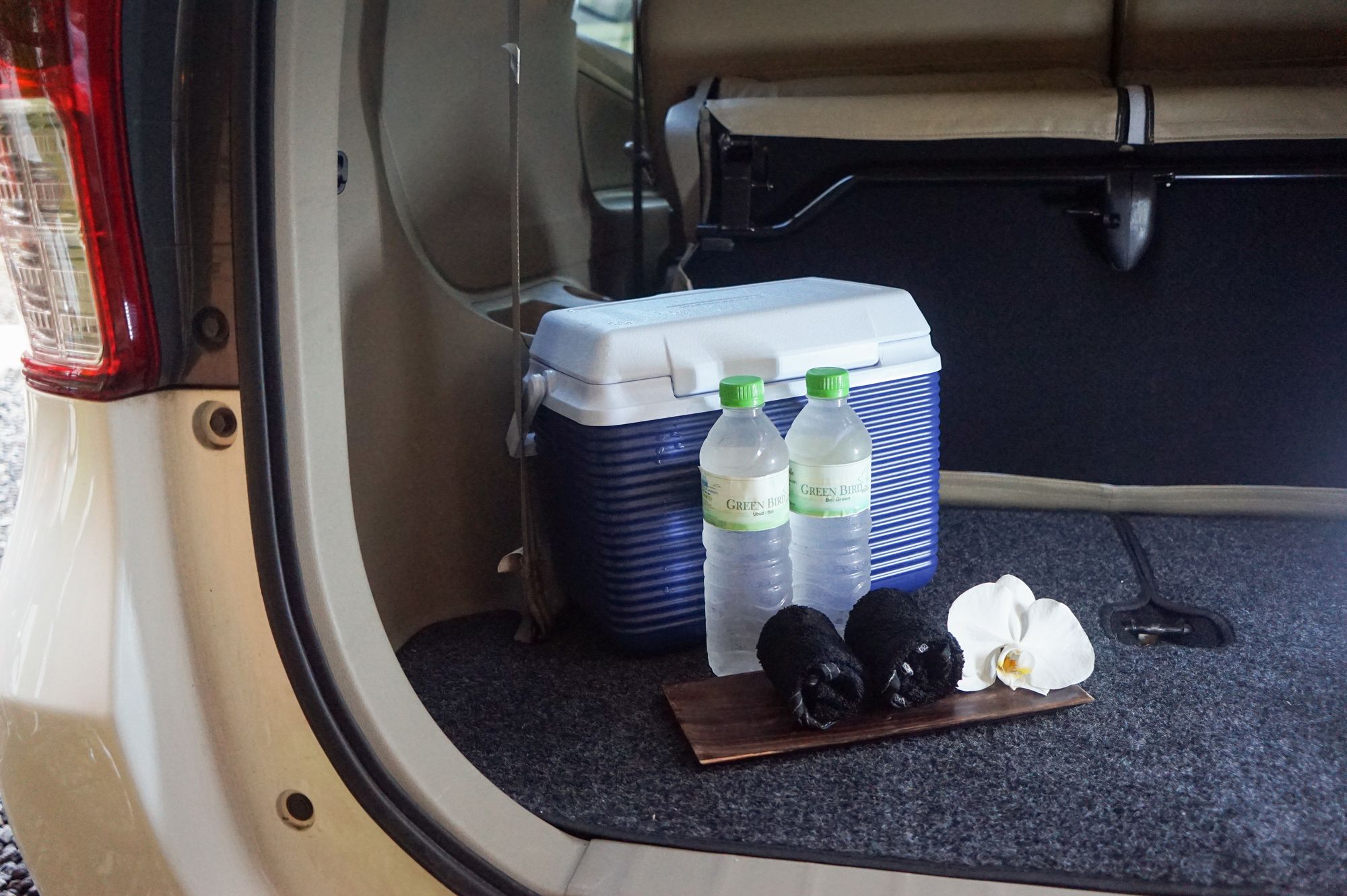 Фото Green Bird Villa