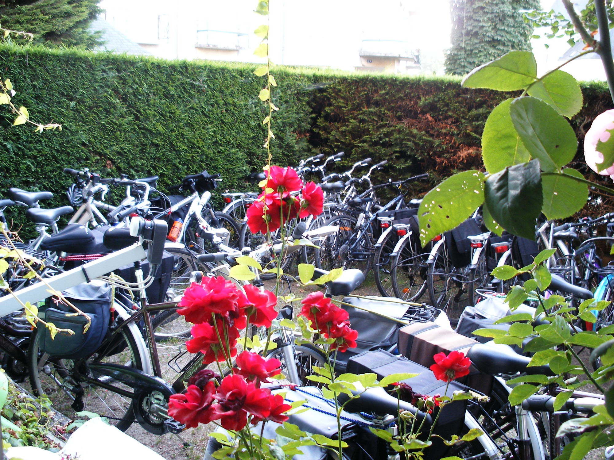 Фото Hotel Anne de Bretagne