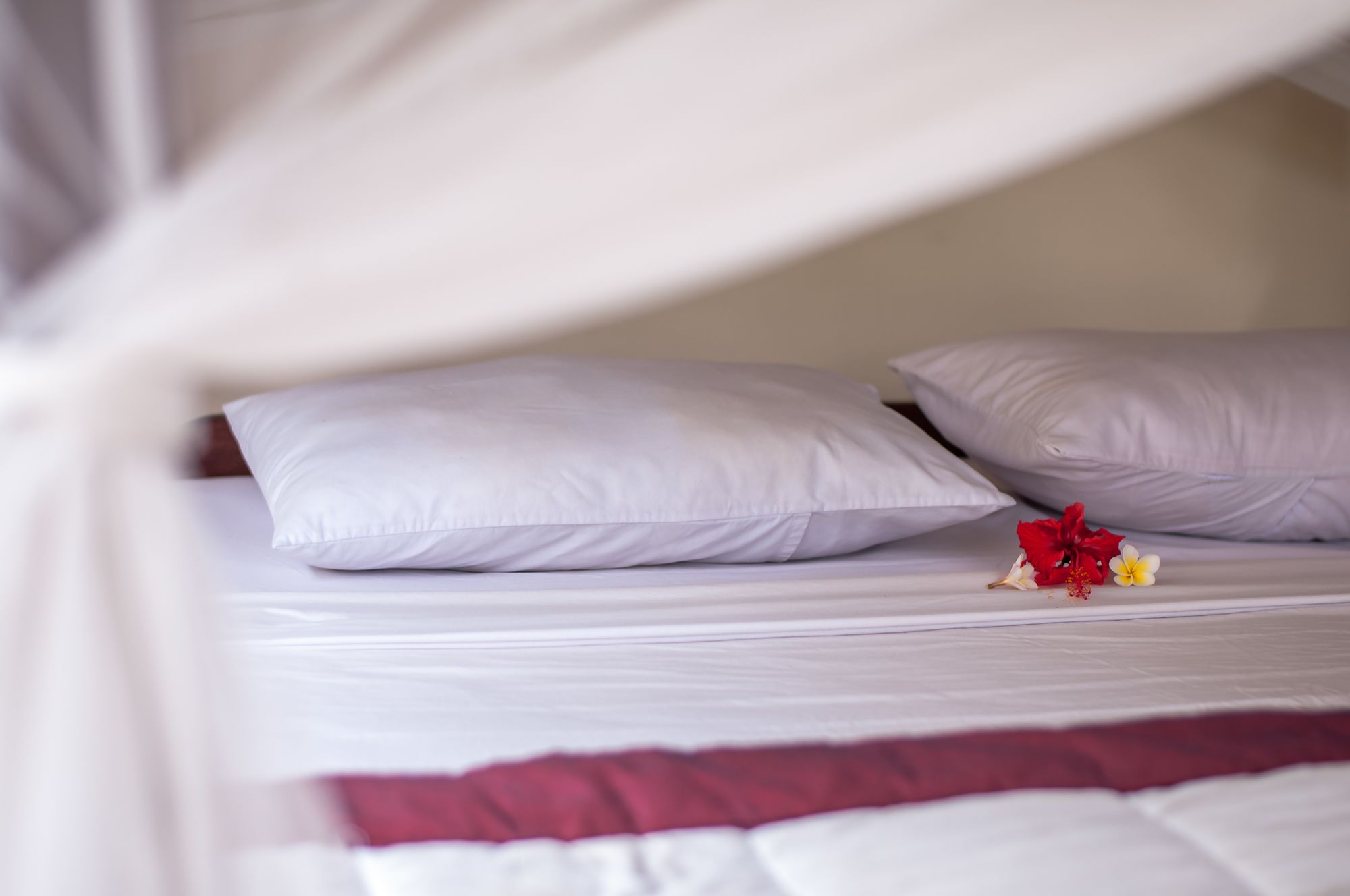 Фото Bisma Jaya Bungalow