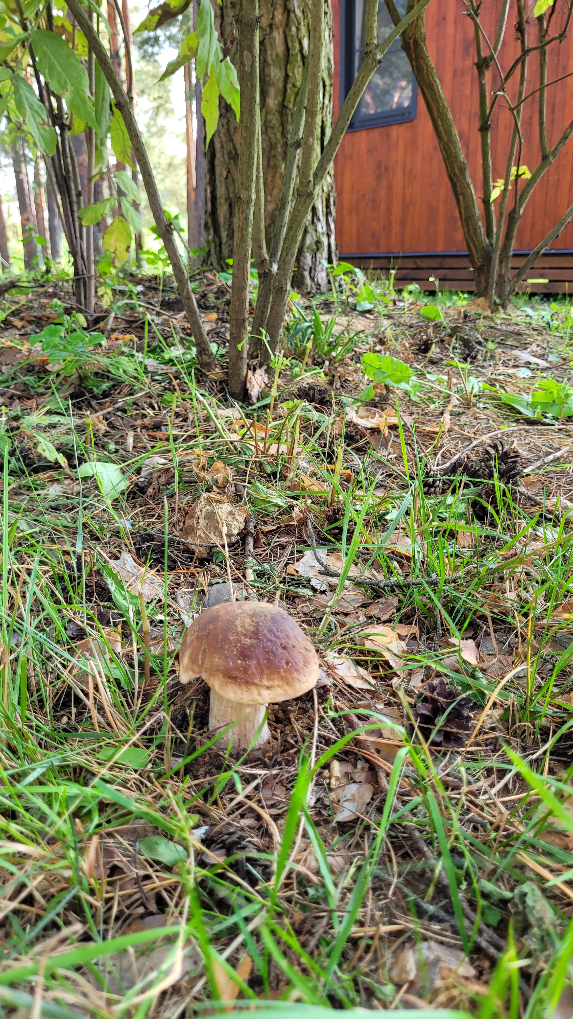 Фото Vonavi Village