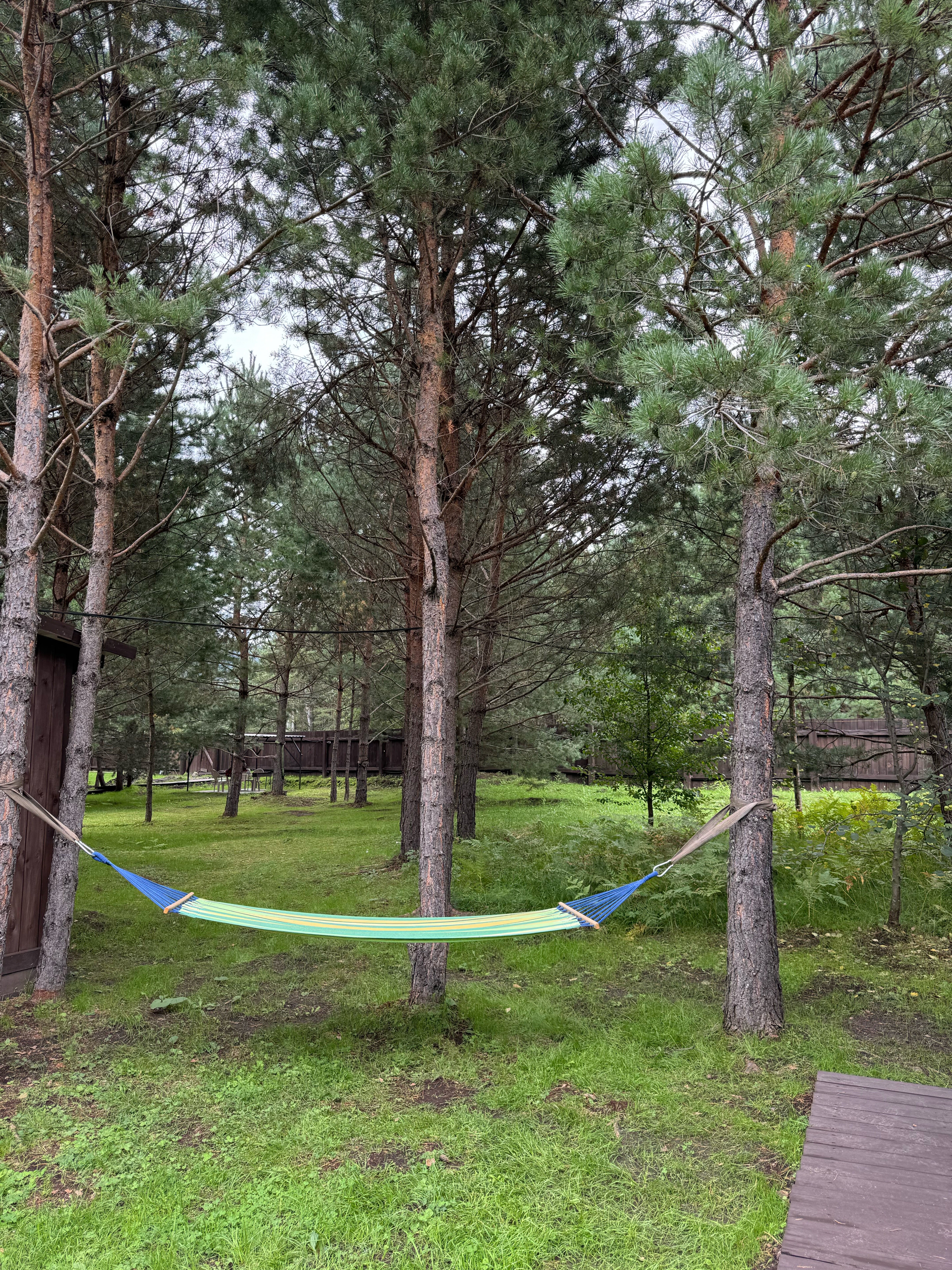 Фото Сосновый рай