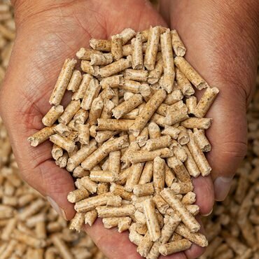 Woodworking enterprise Moonstar Forest Products, Istanbul, photo