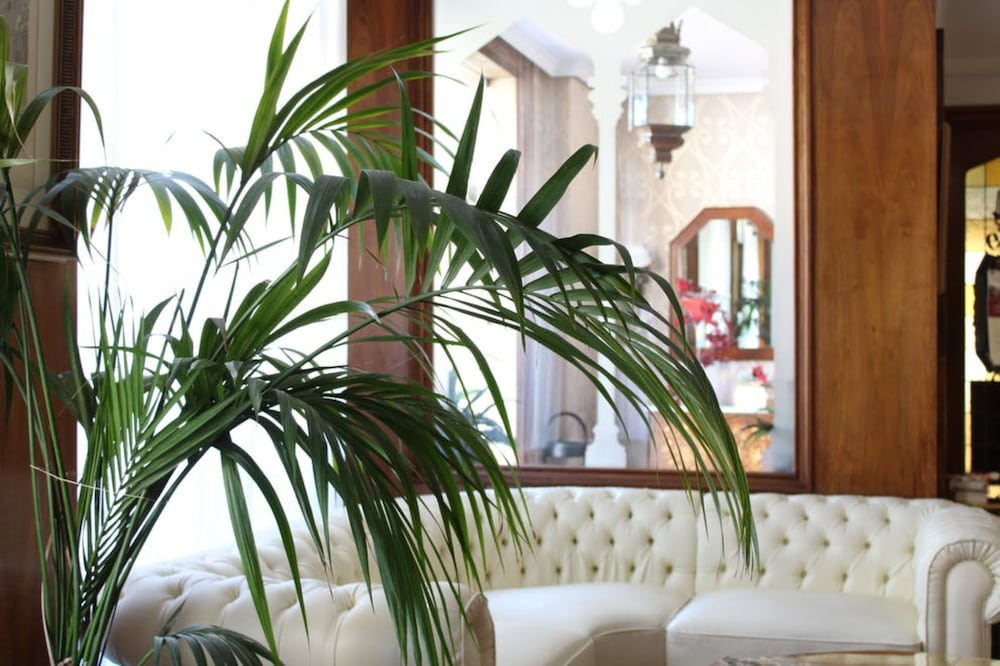 Фото Hotel El Bedel