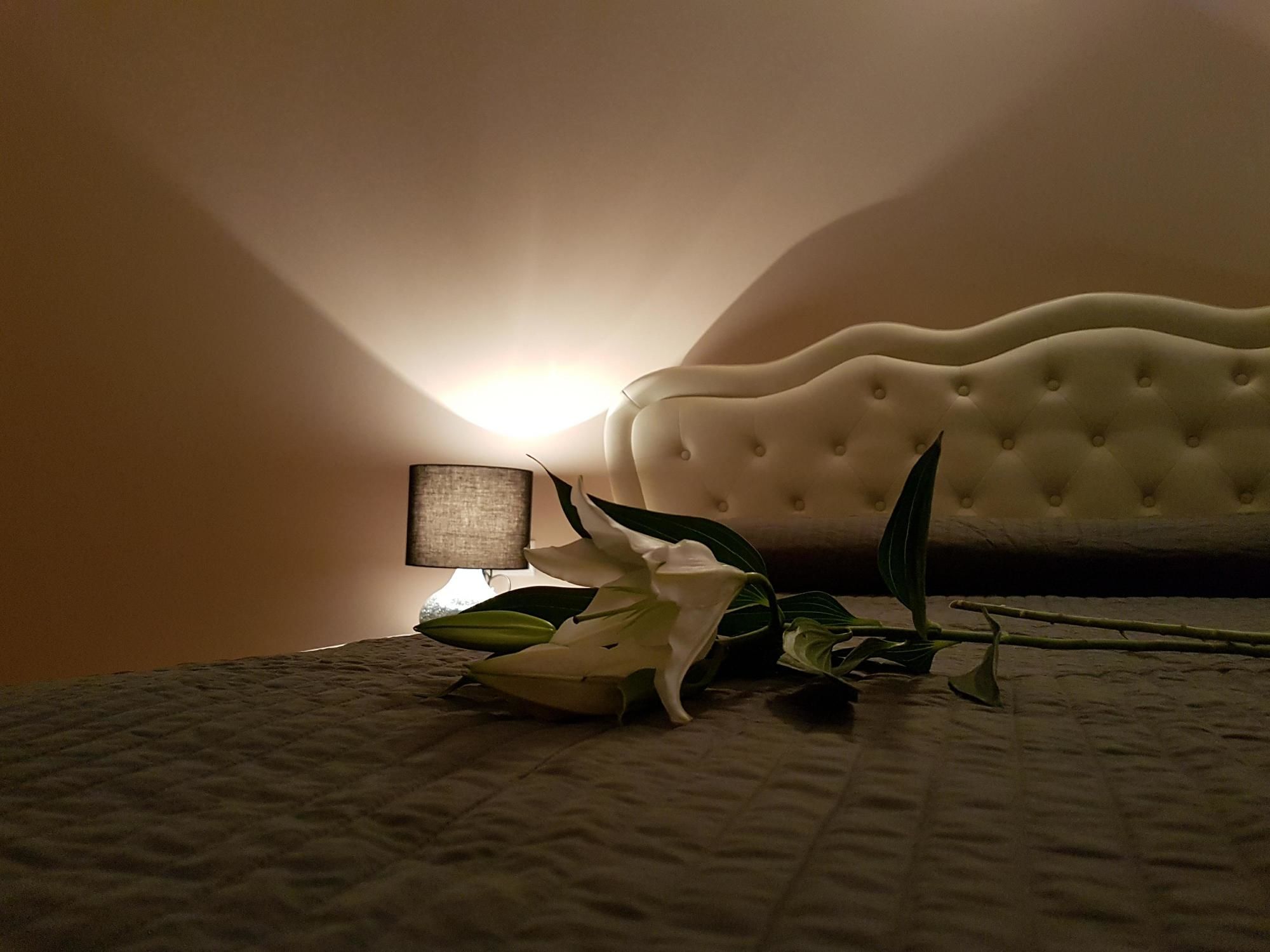 Фото Rome Winners Home