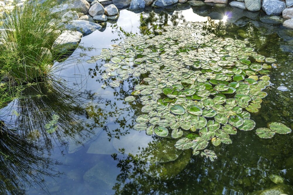 Фото Ayres Lodge Alpine