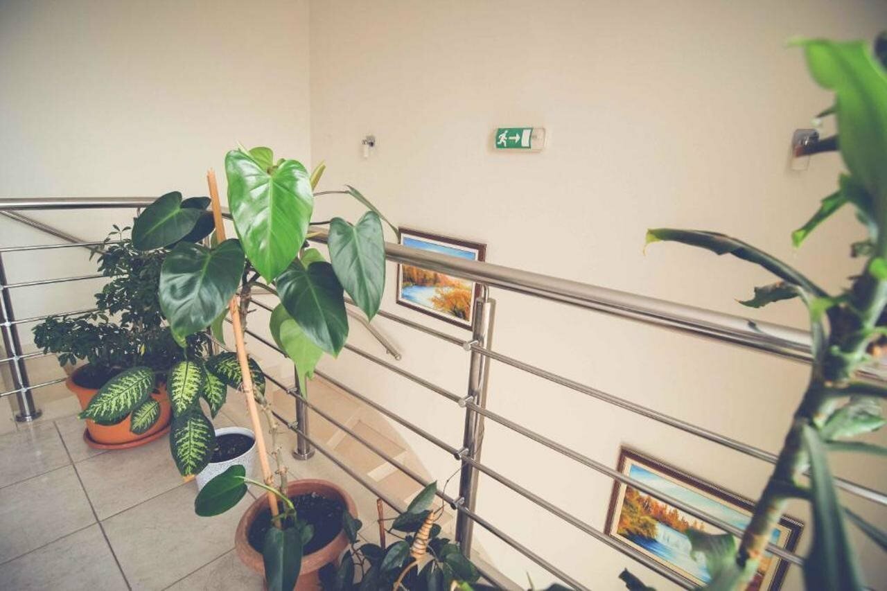 Фото Hotel Phoenix