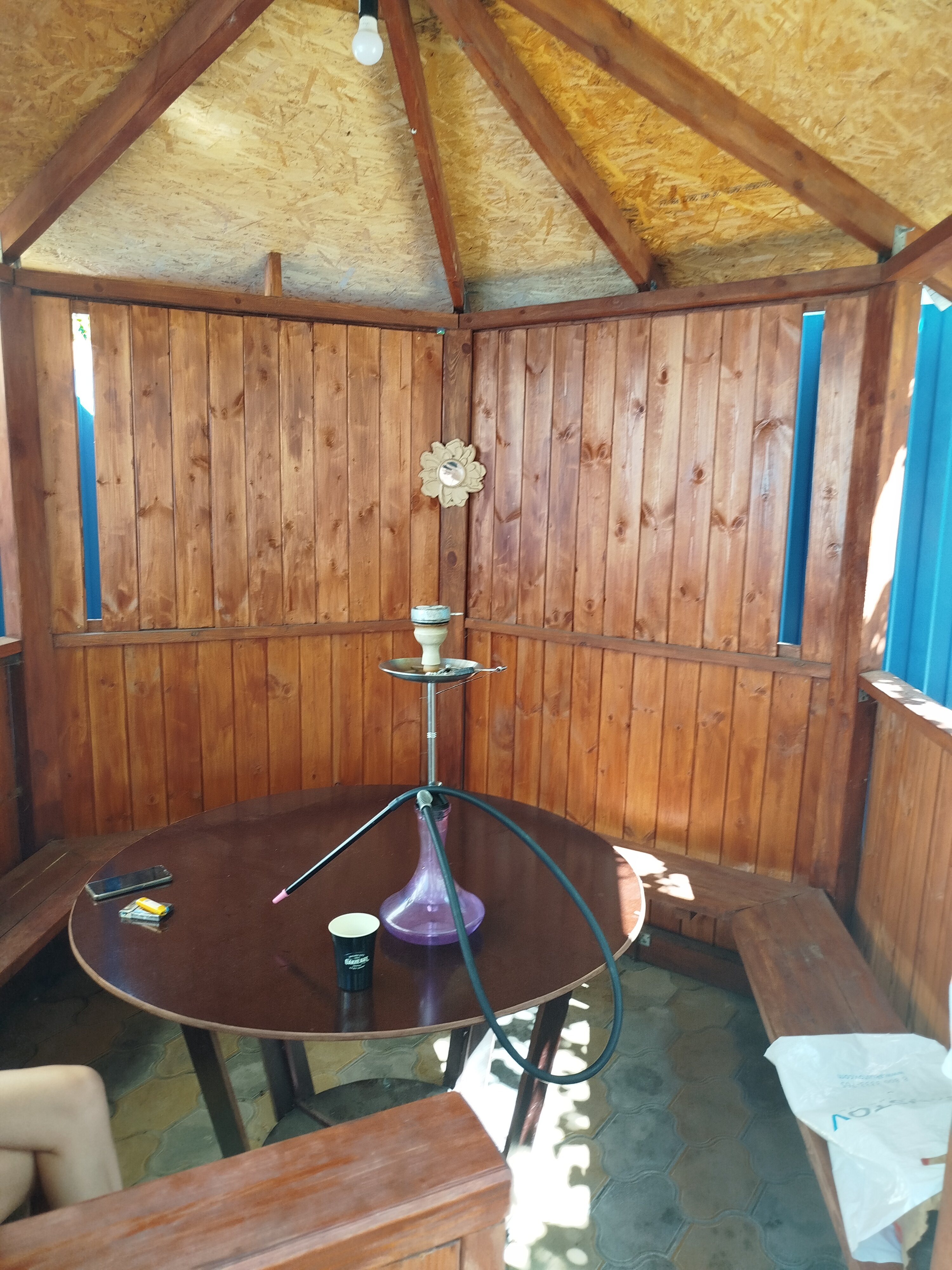 Фото Афалина