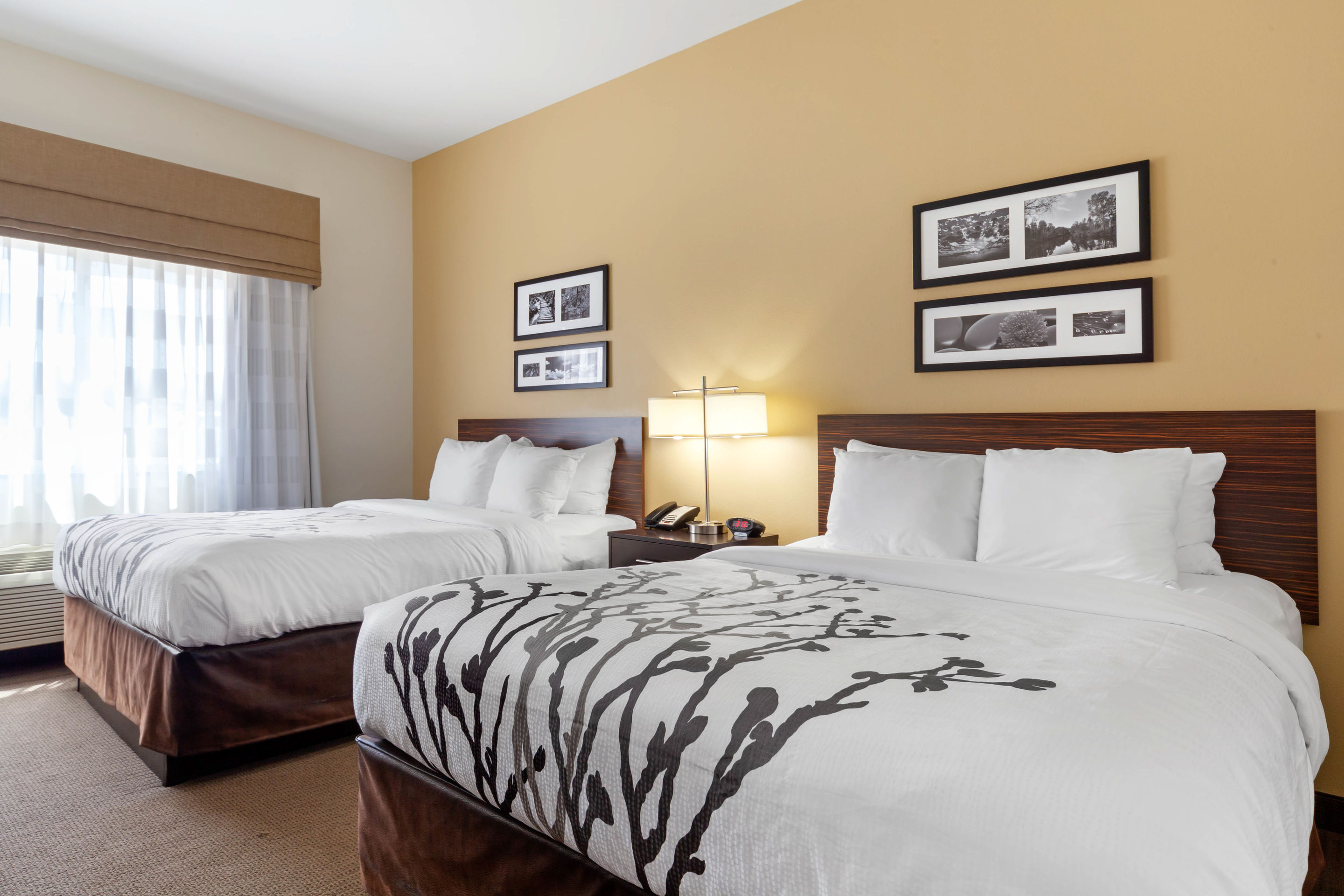 Фото MainStay Suites Williston