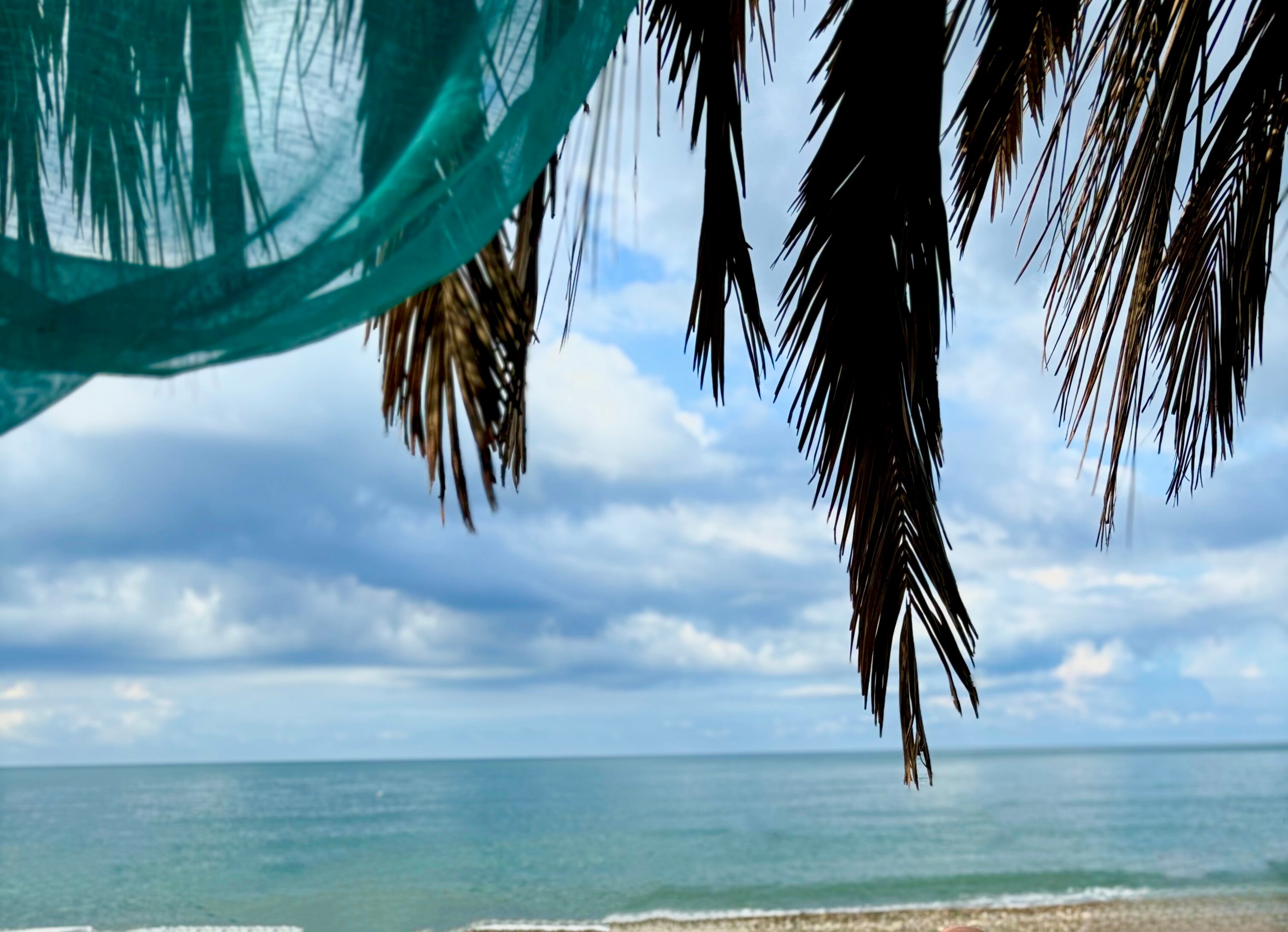 Фото Вилла Оазис