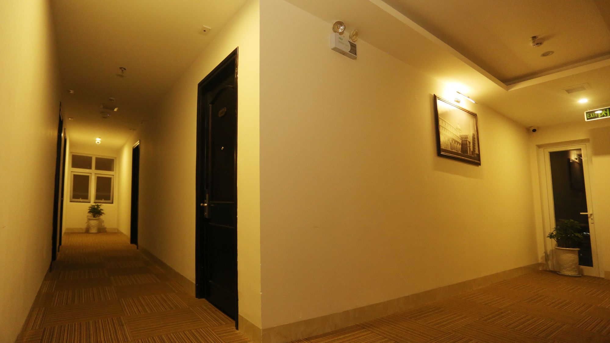 Фото Royal Family Hotel Da Nang