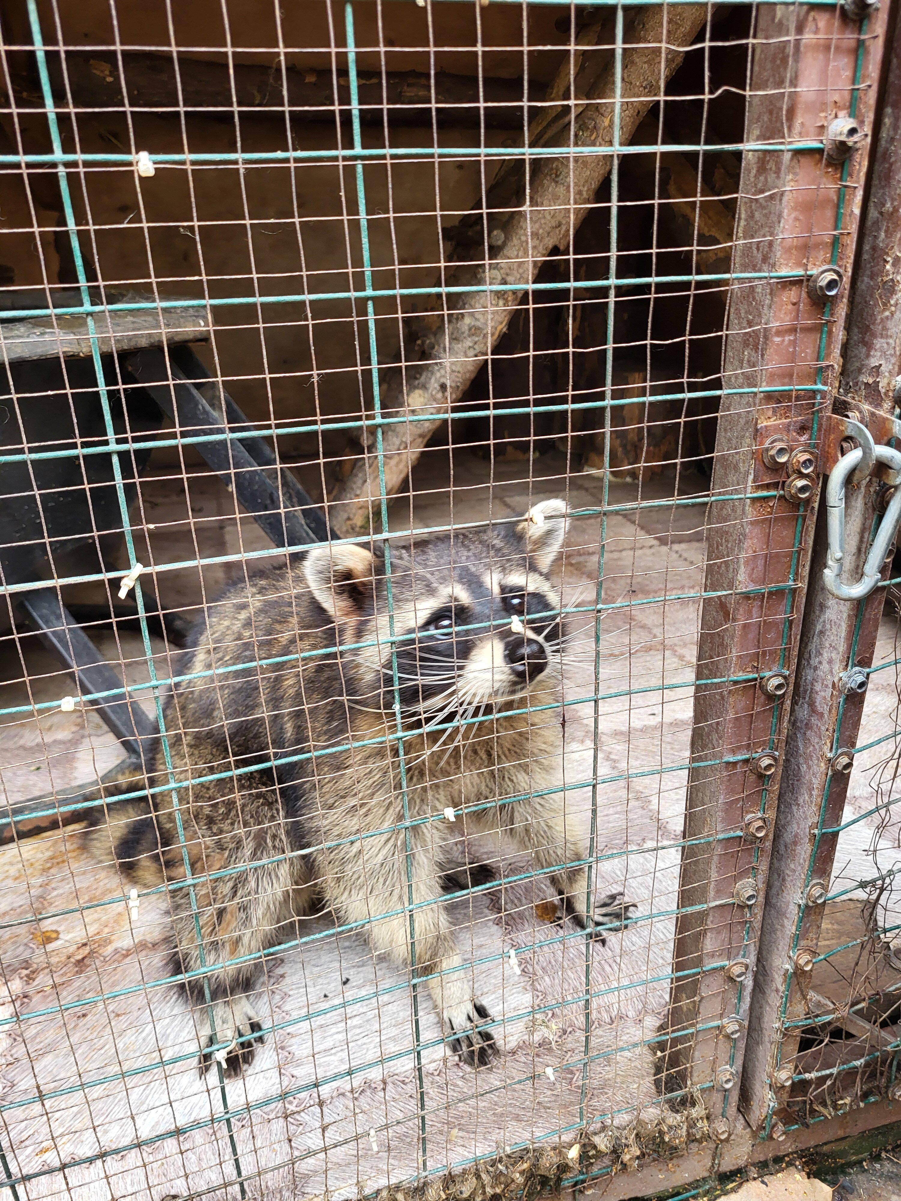 Фото Горьковский Чан