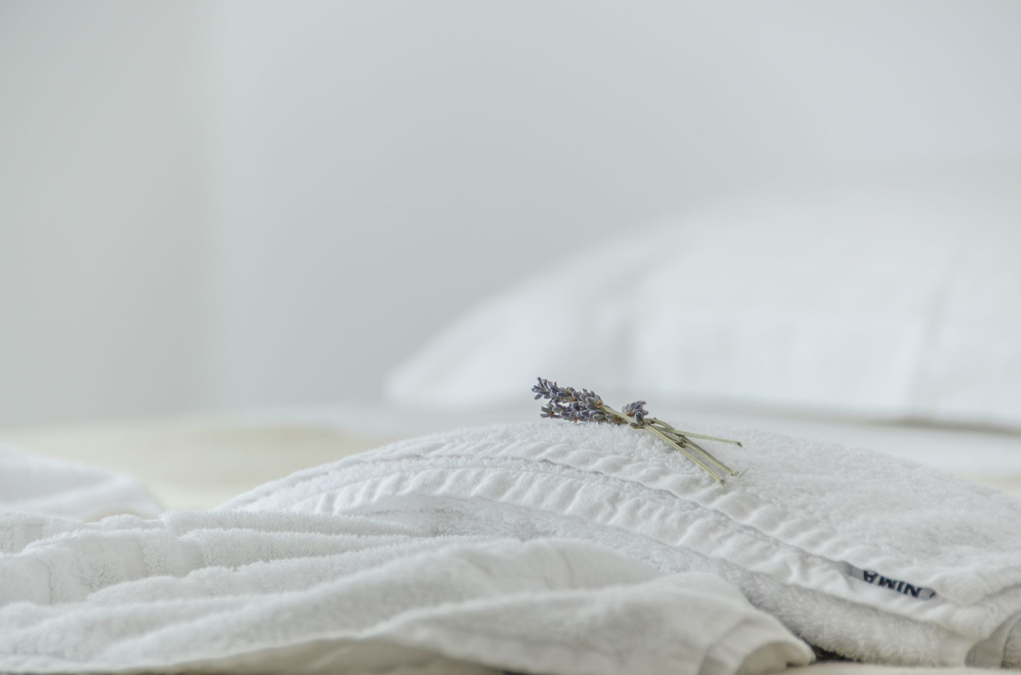 Фото Hotel Galini