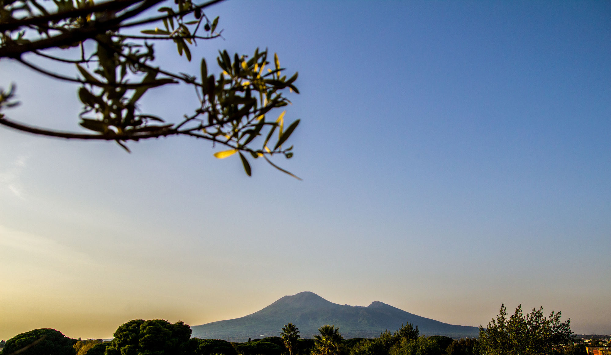 Фото Hotel Forum