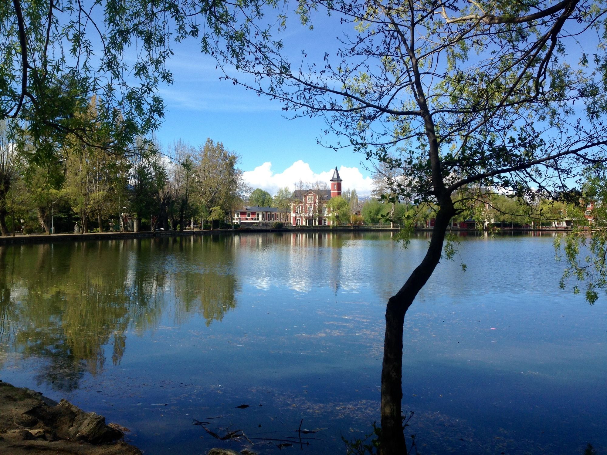 Фото Hotel Villa Paulita