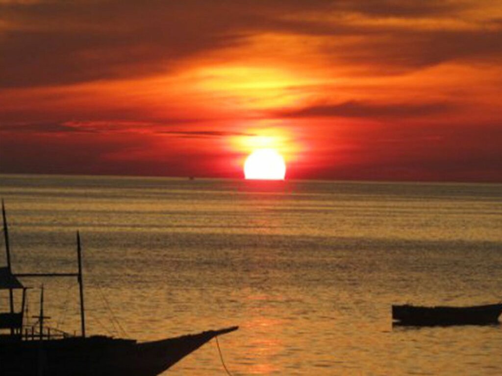 Hotel Purple Snapper Dive Resort - Hostel/Backpacker accommodation, Province of Cebu, photo