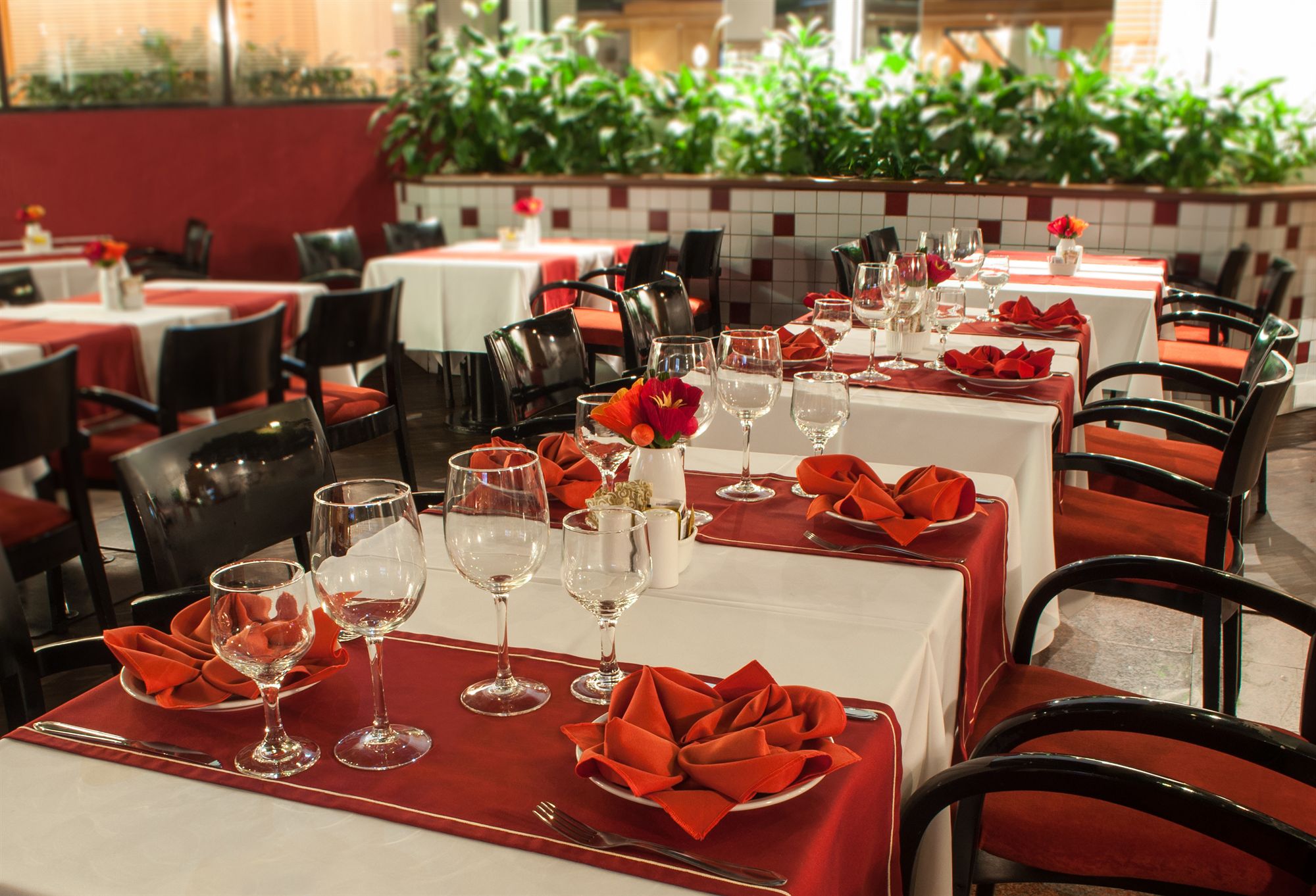 Фото Hotel Massis