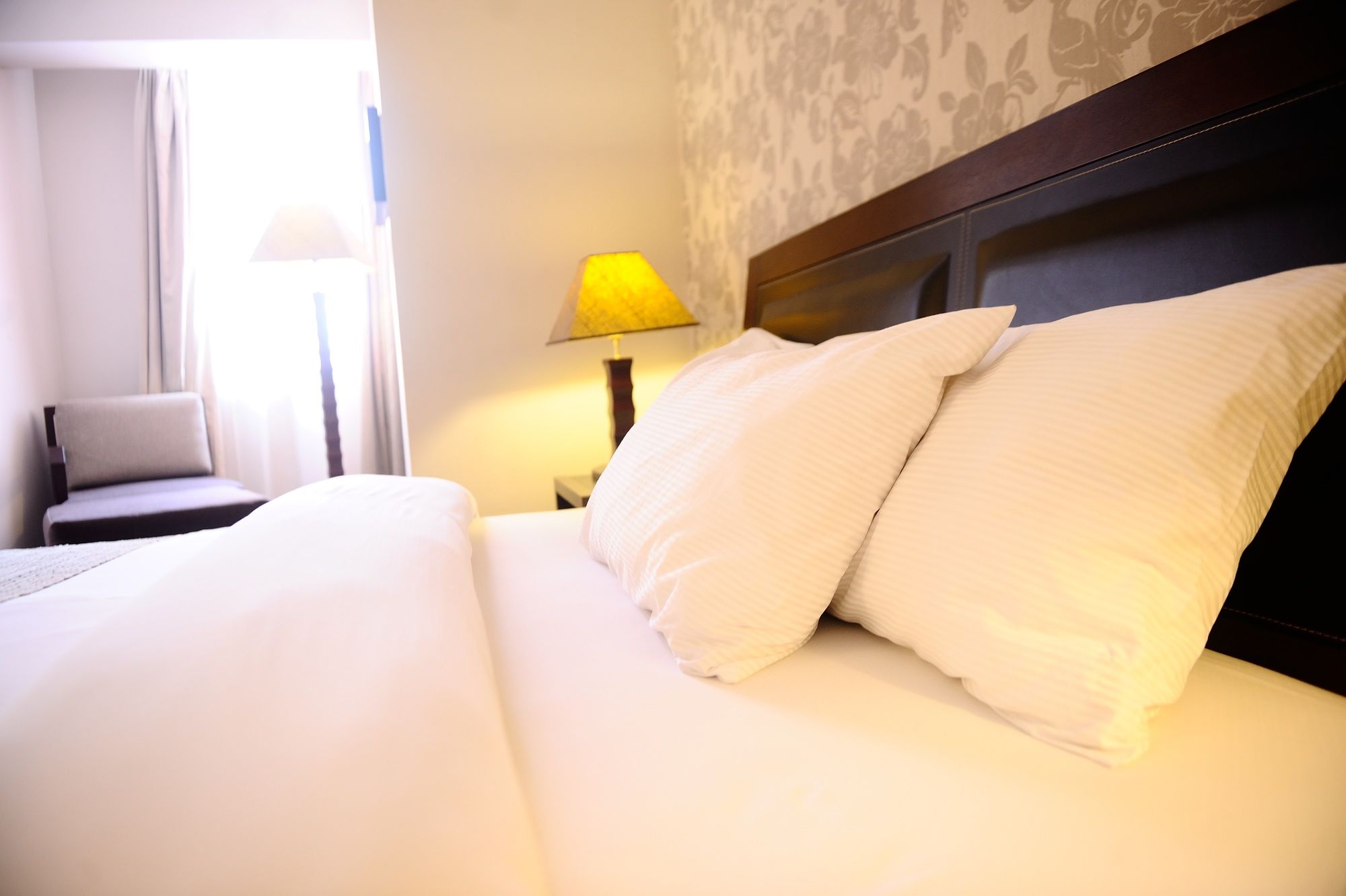 Фото The Blowfish Hotel