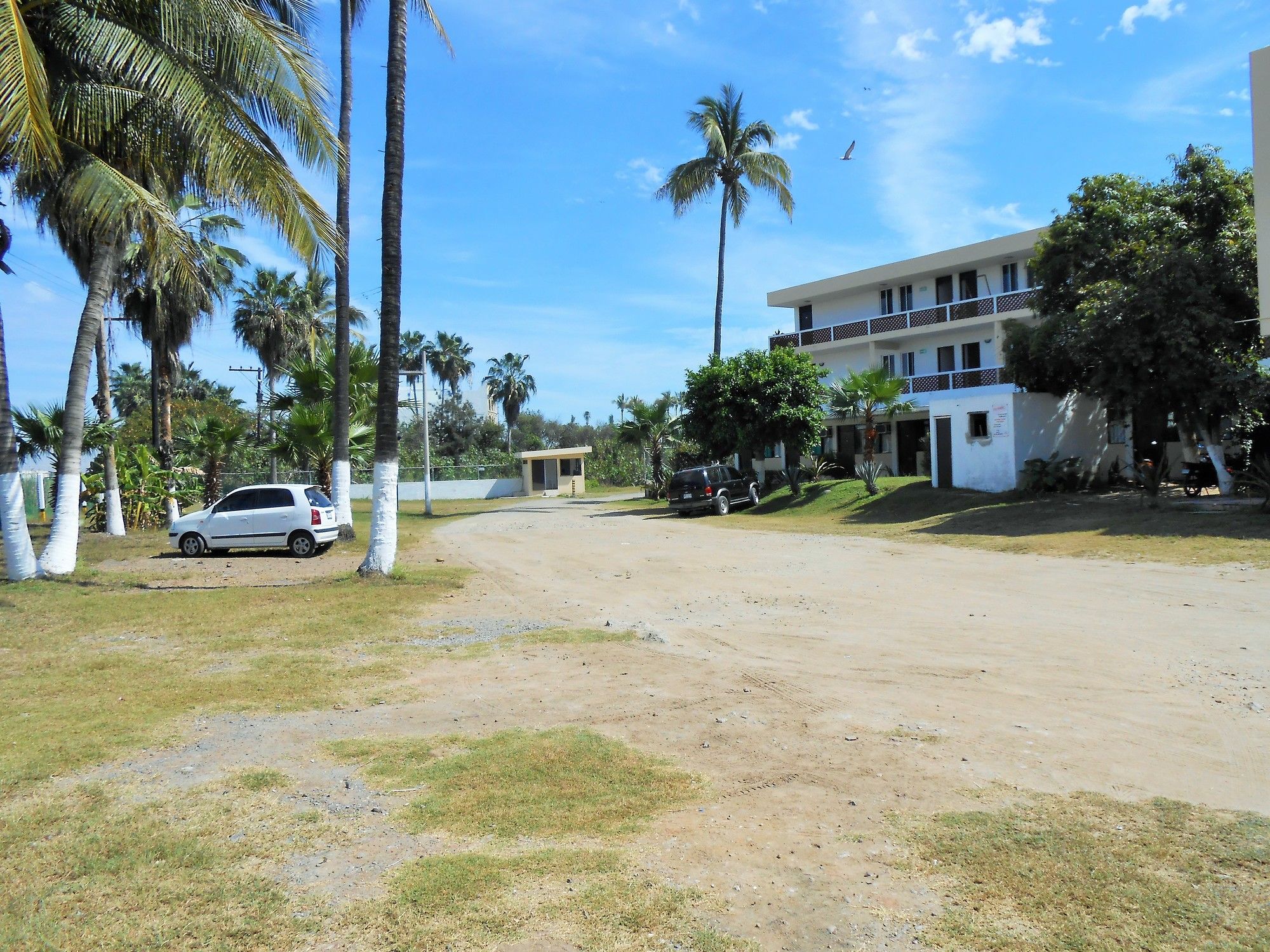 Фото Hotel Las Jacarandas