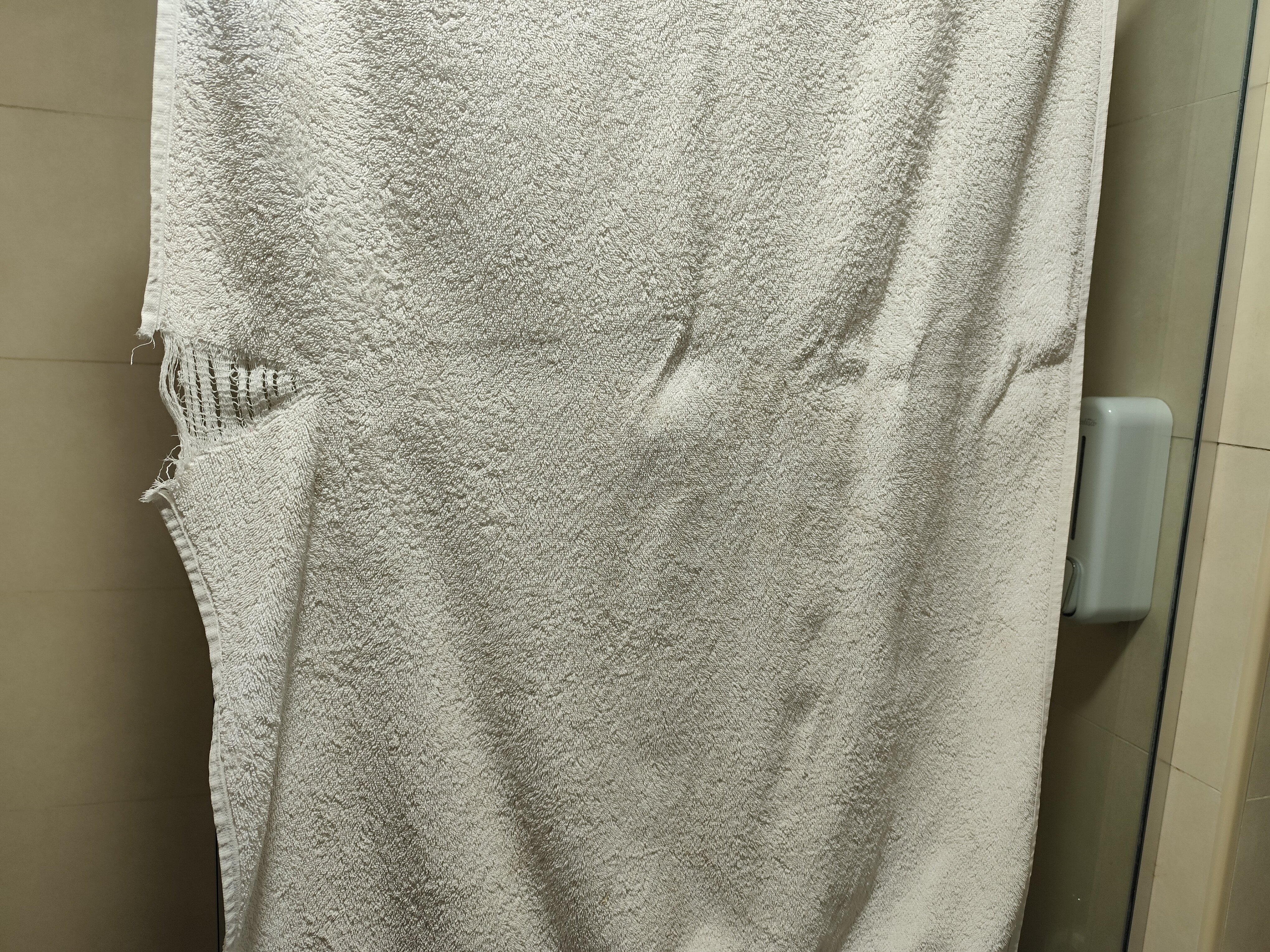 Фото The Friends