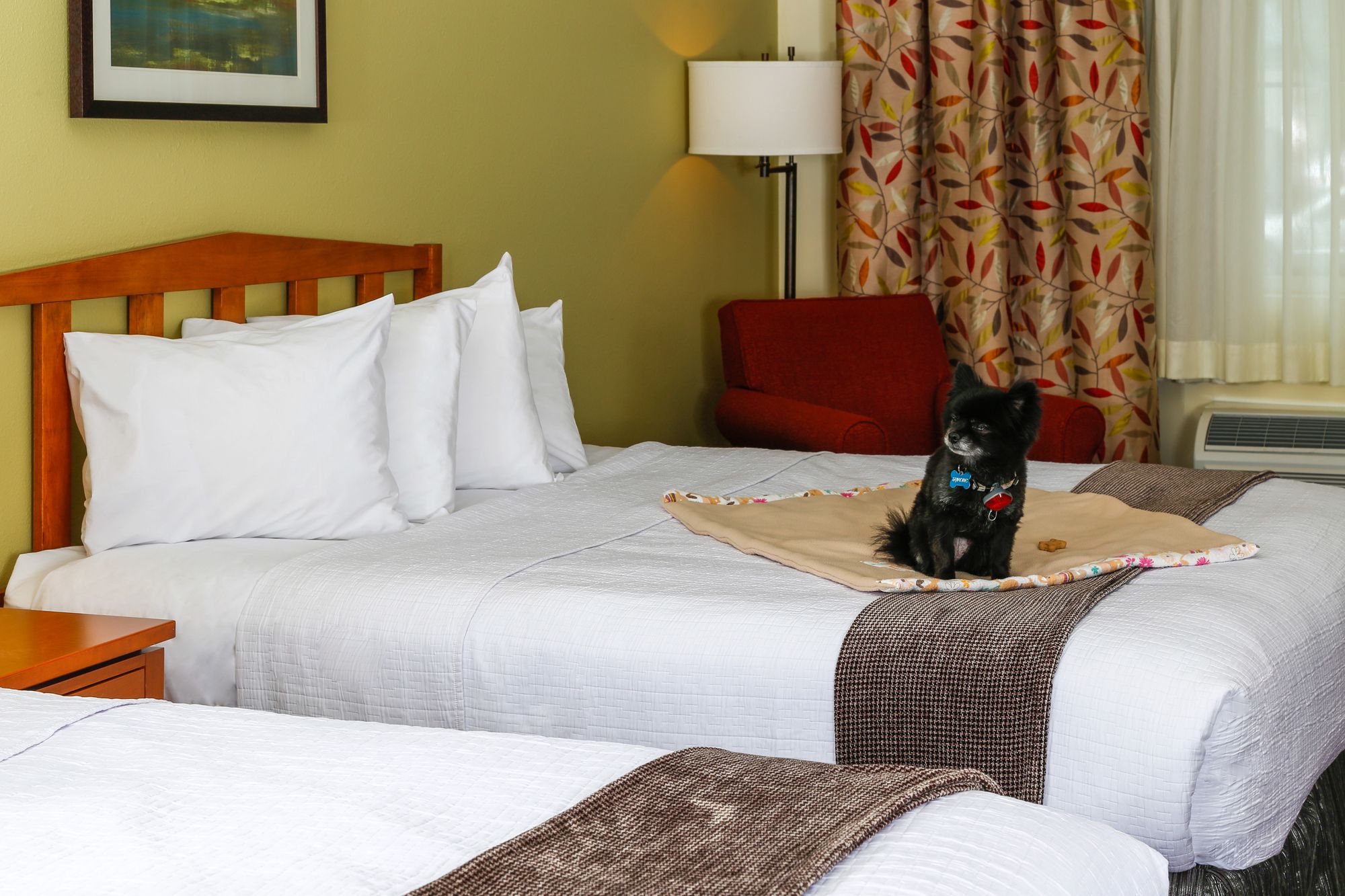 Фото Best Western Rocky Mountain Lodge