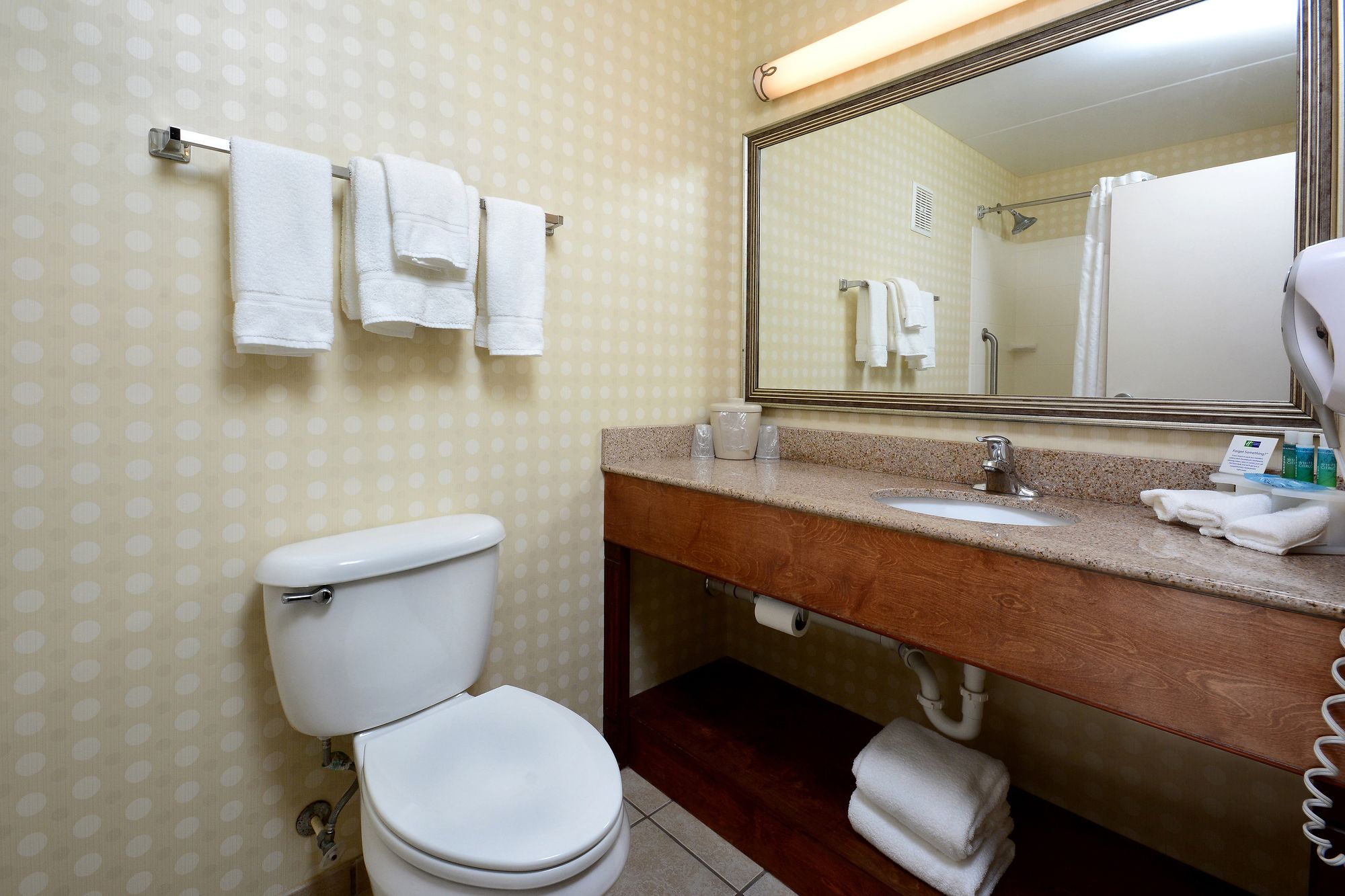 Фото Holiday Inn Express Lynchburg, an Ihg Hotel