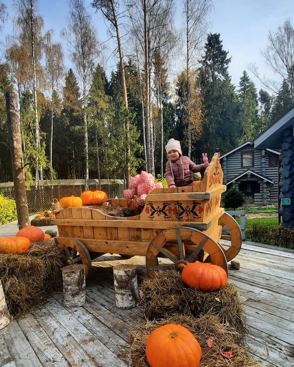 Фото Романов лес