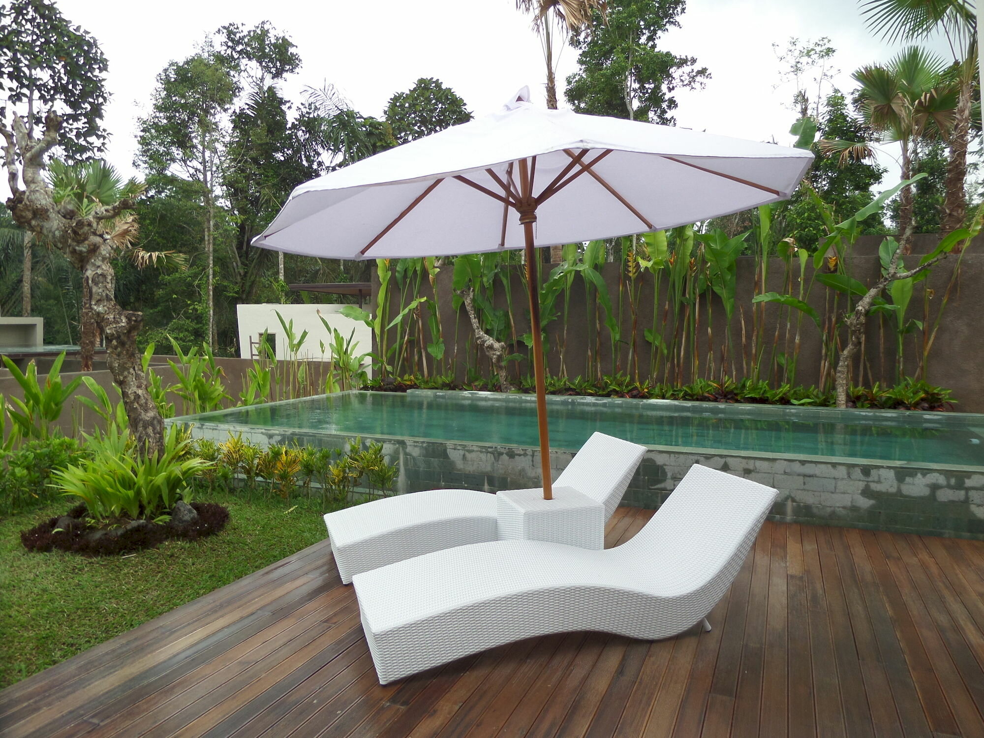 Фото 164162676469