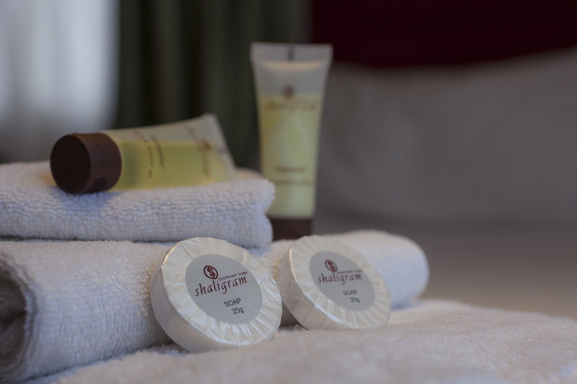 Фото Shaligram Hotel & SPA